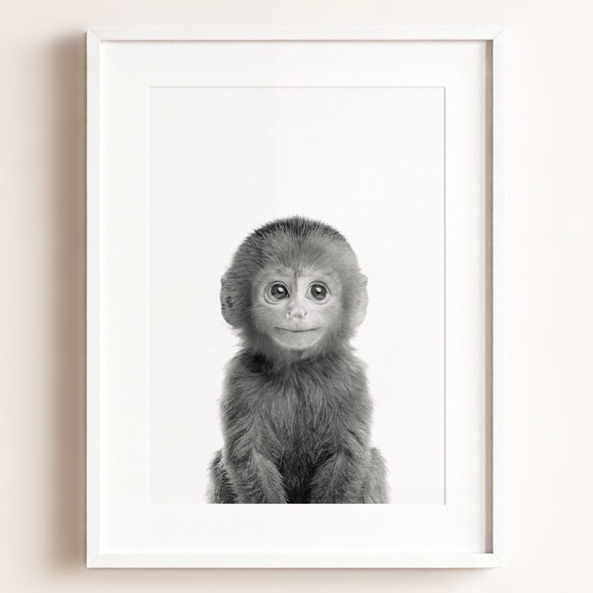 Baby Monkey