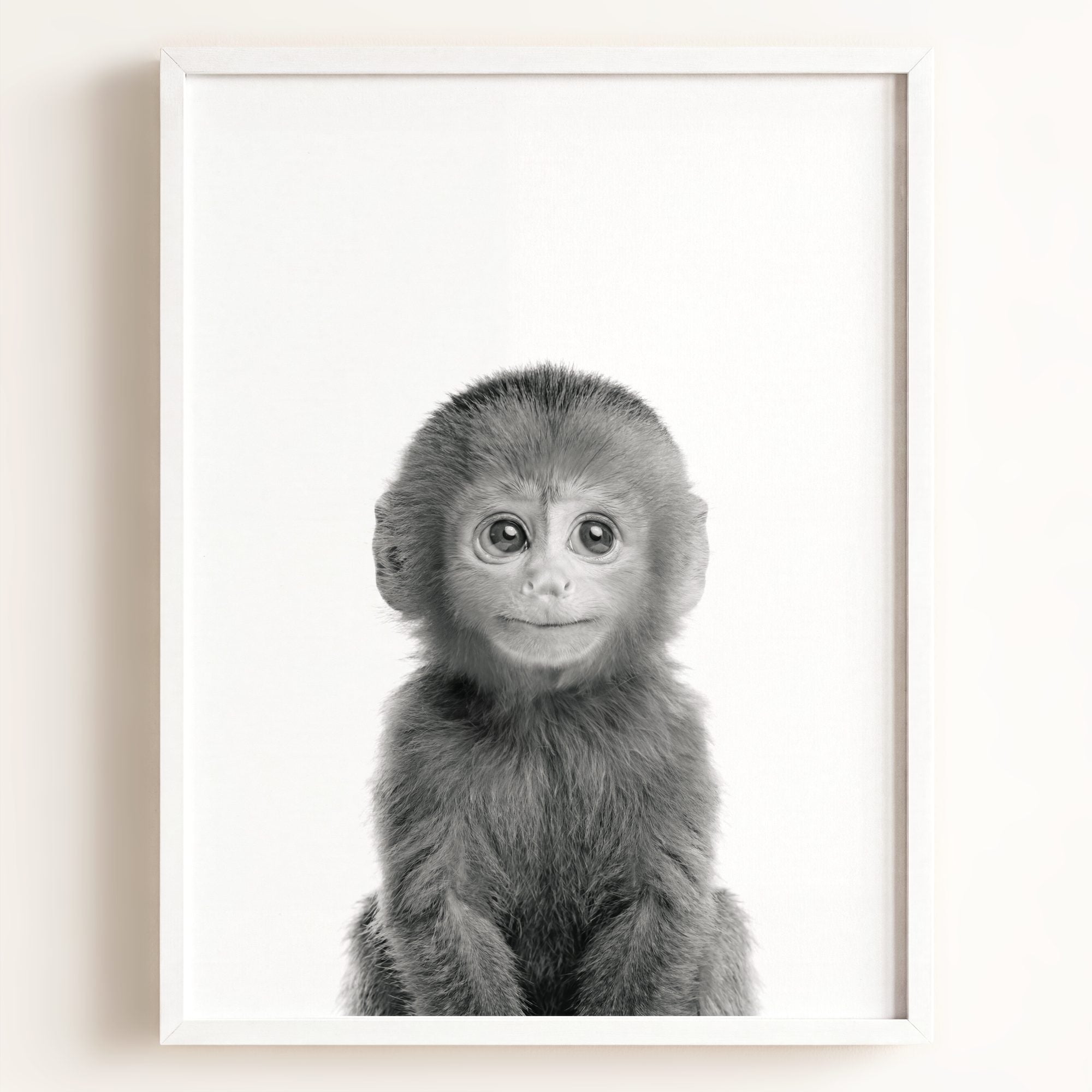 Baby Monkey