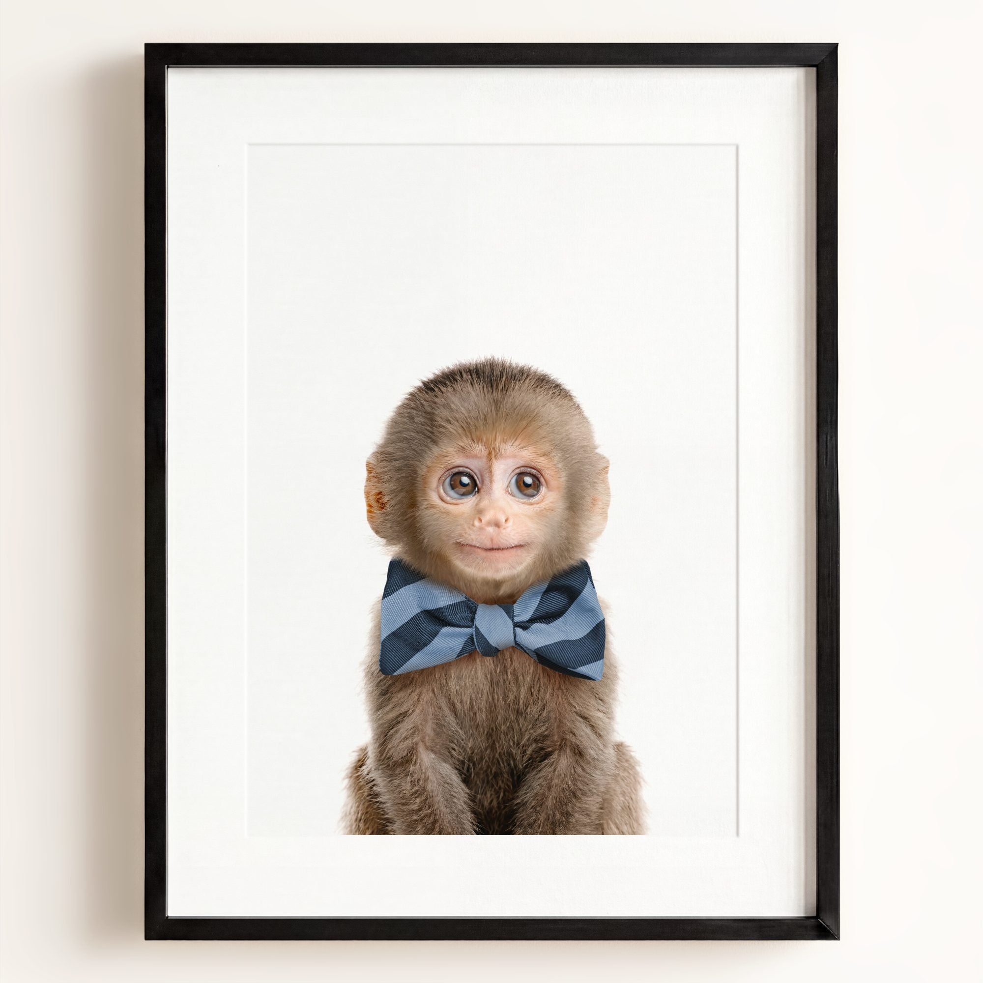 Baby Monkey