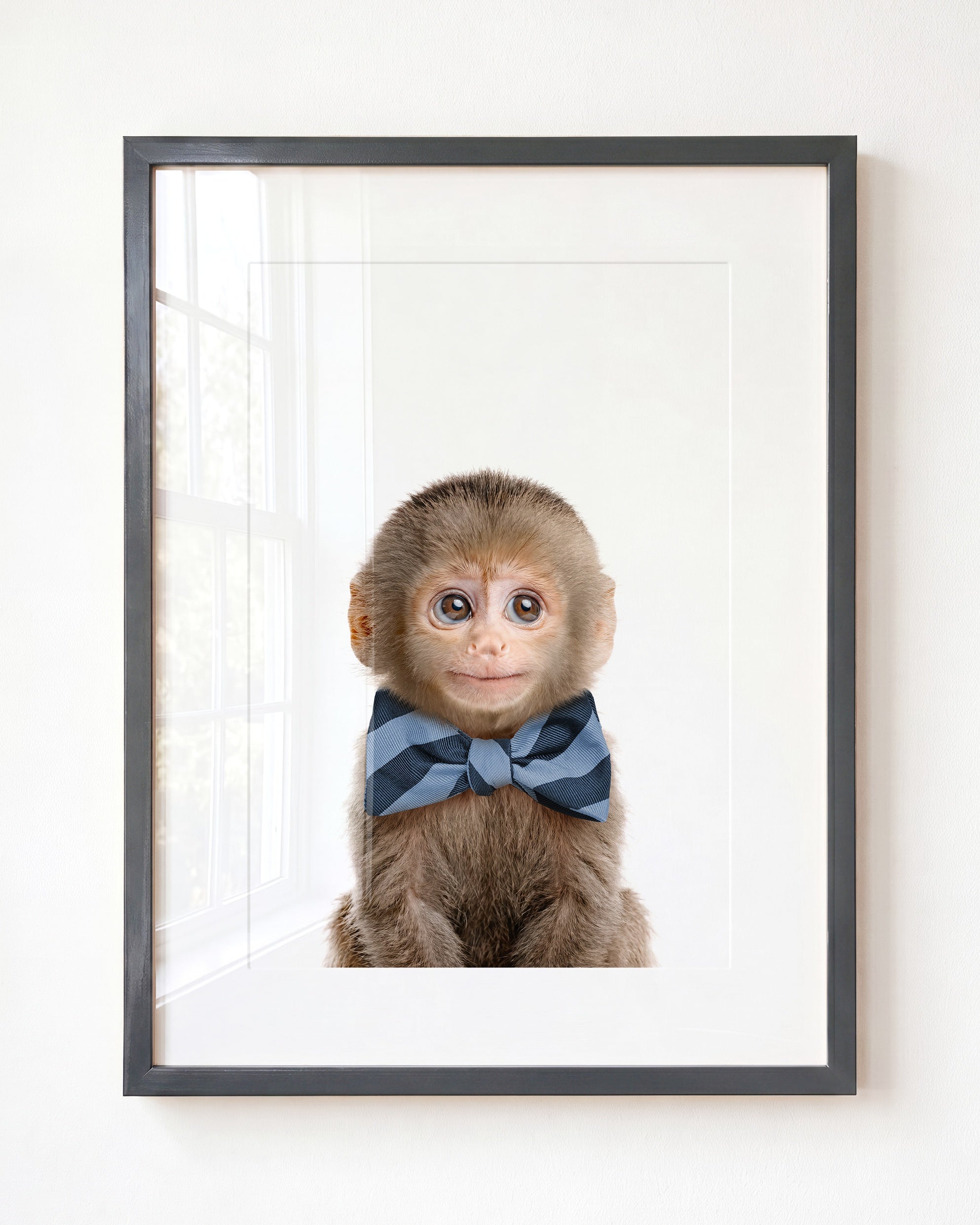 Baby Monkey