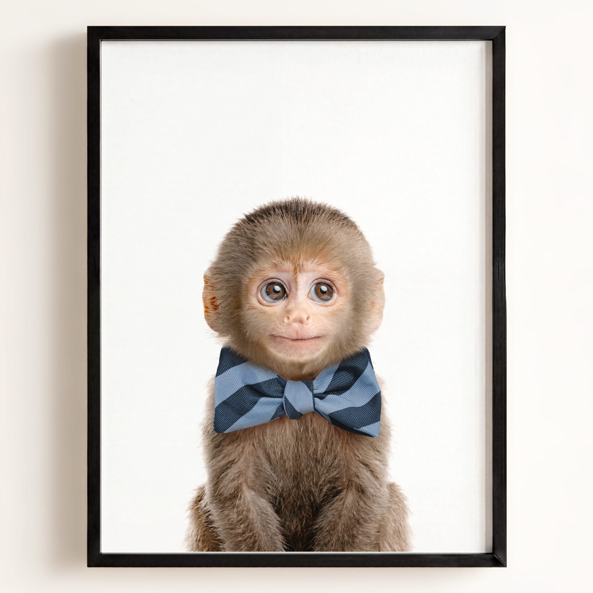 Baby Monkey