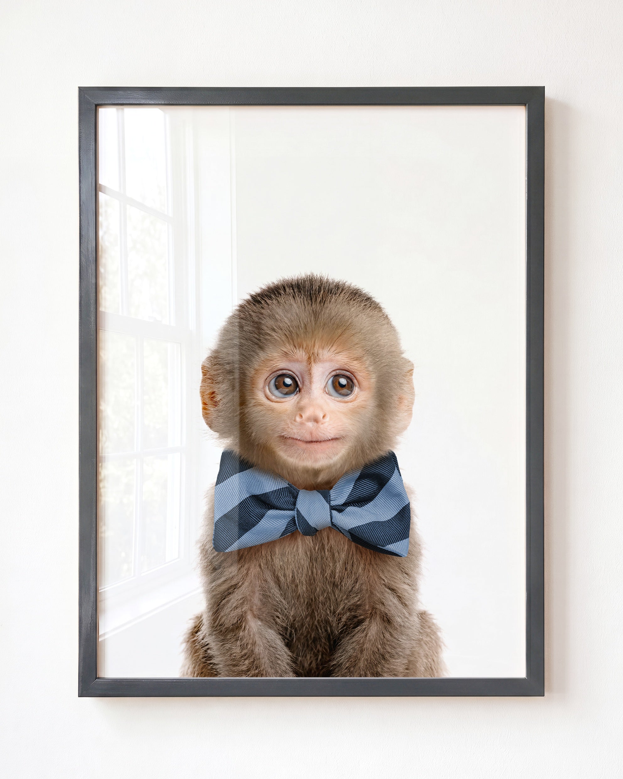 Baby Monkey