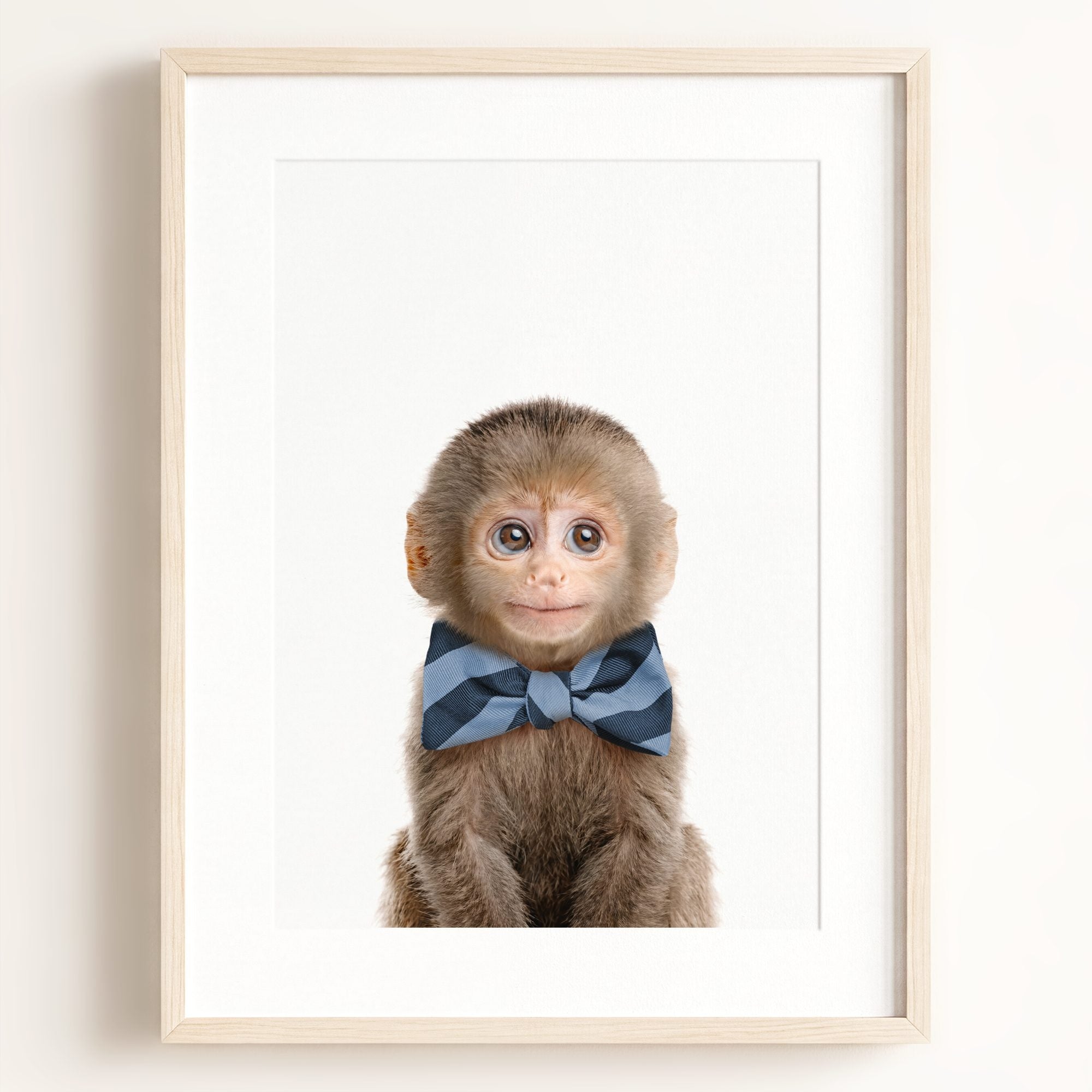 Baby Monkey