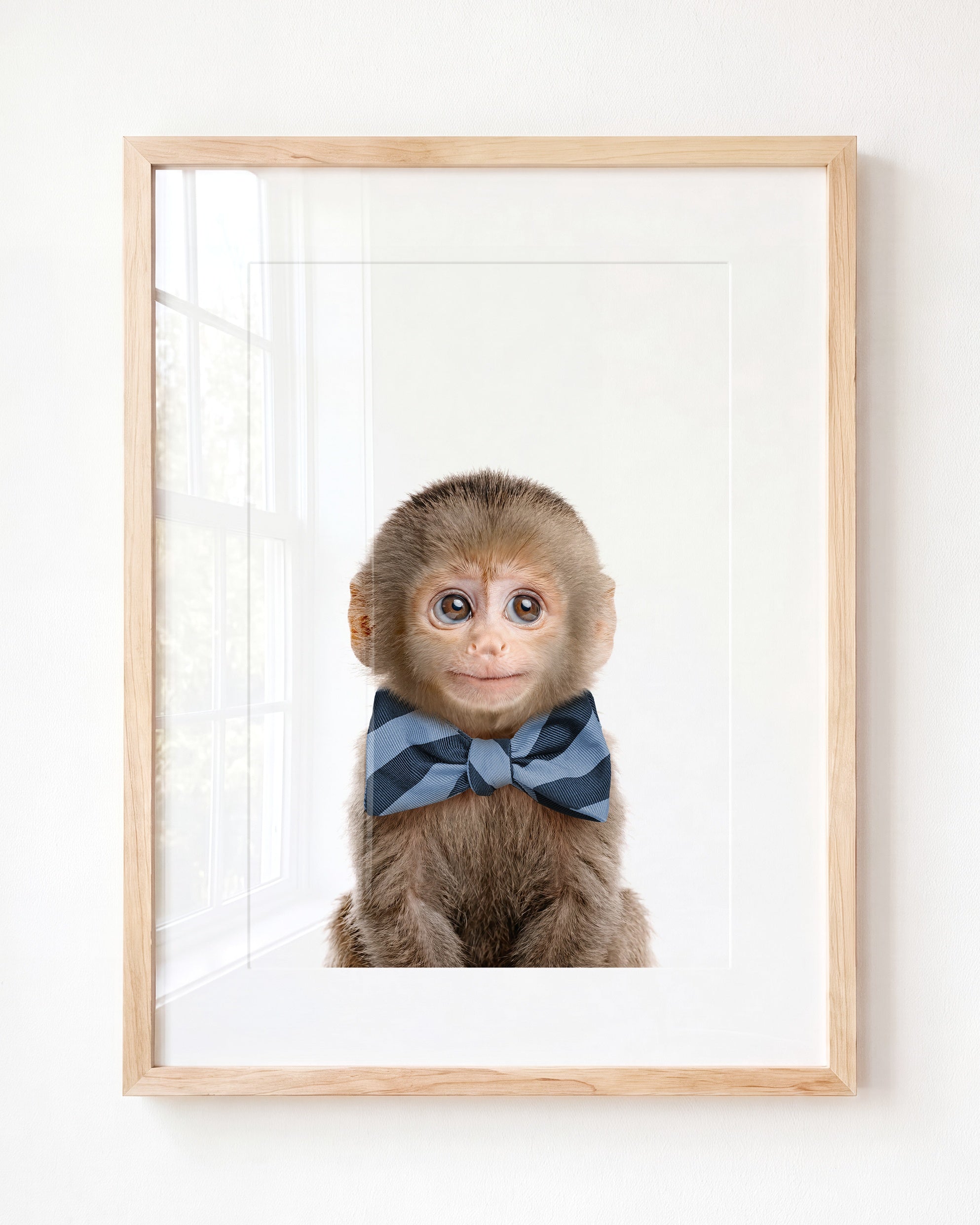 Baby Monkey