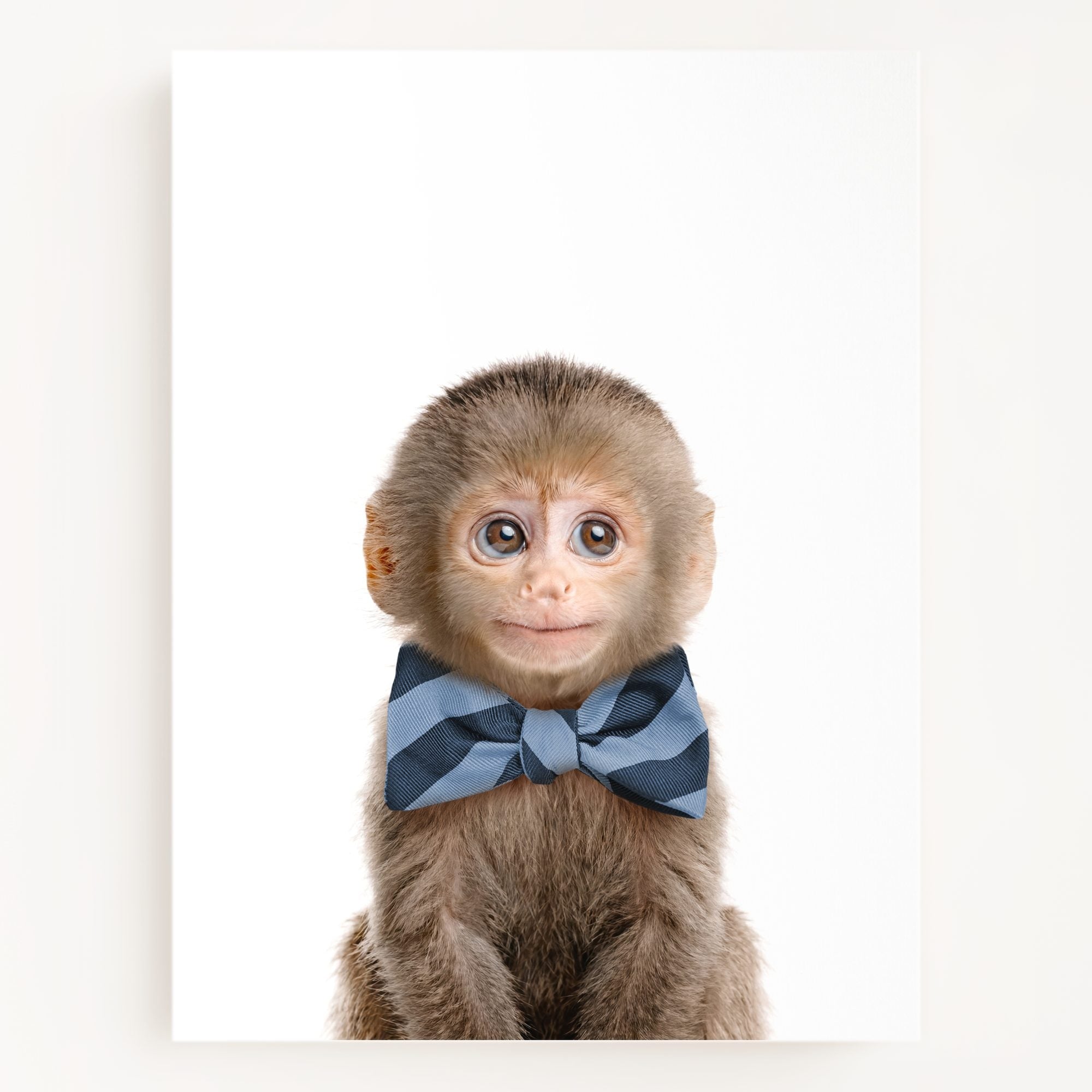 Baby Monkey