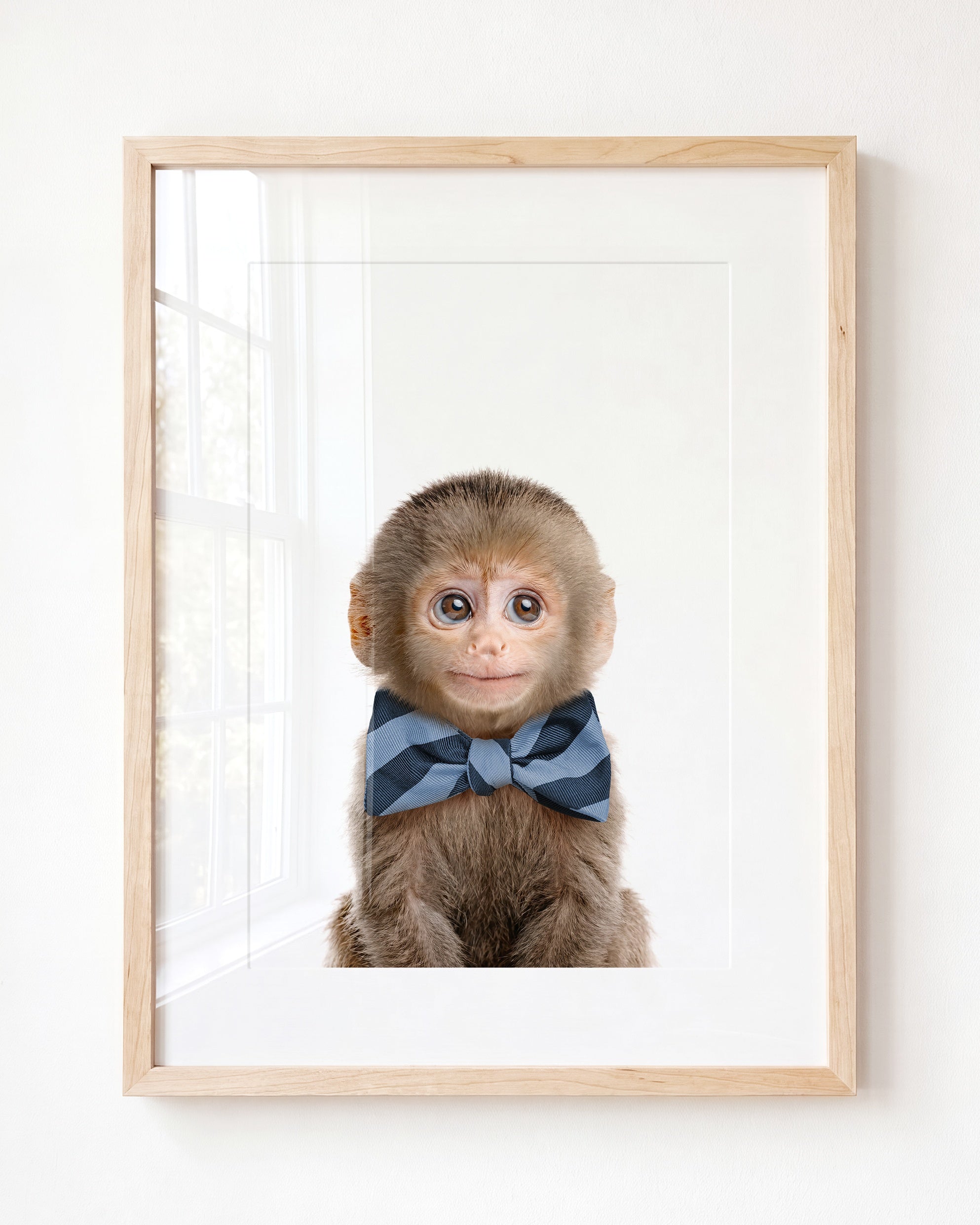 Baby Monkey
