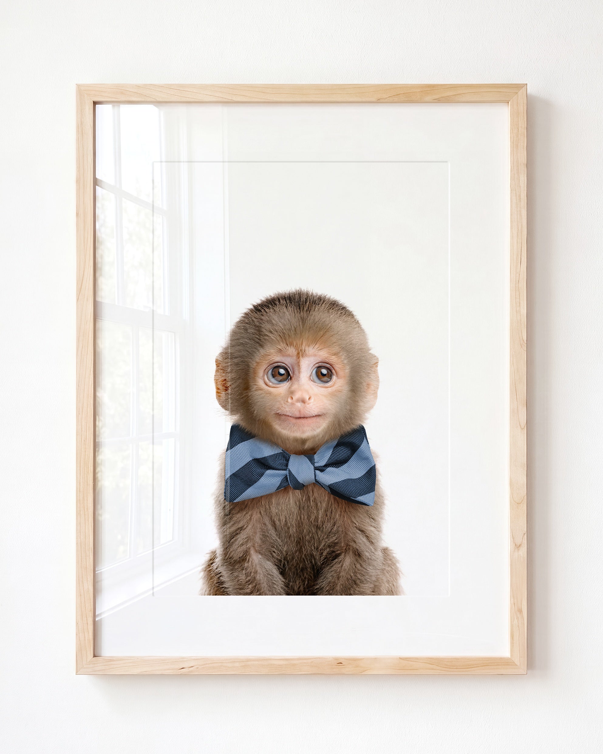 Baby Monkey