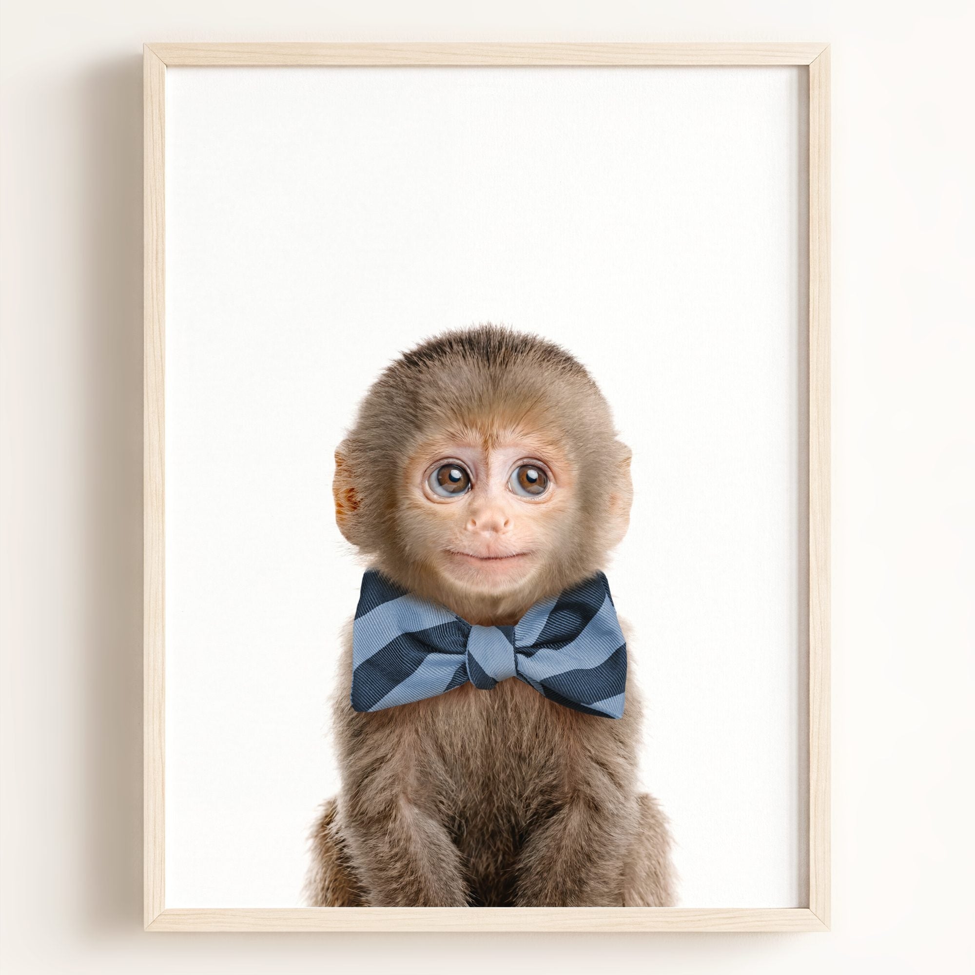 Baby Monkey