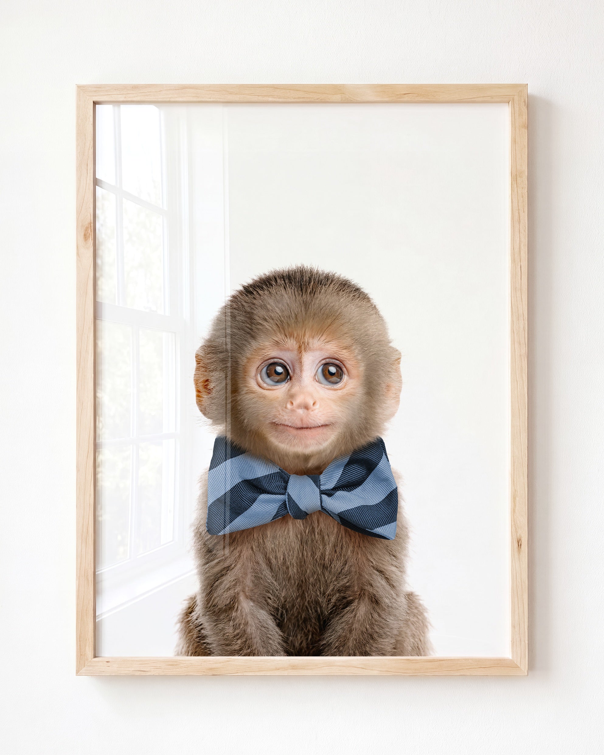 Baby Monkey