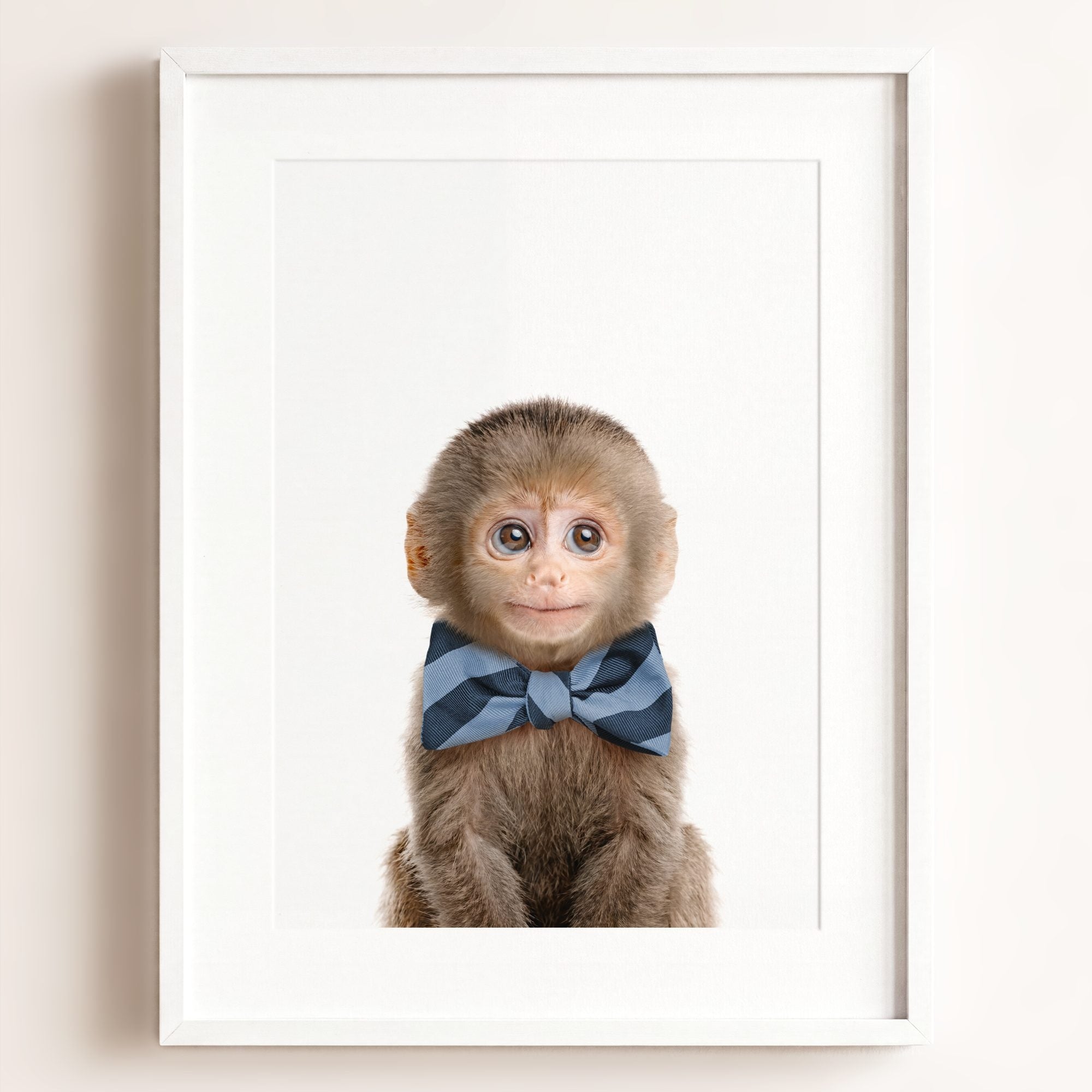 Baby Monkey