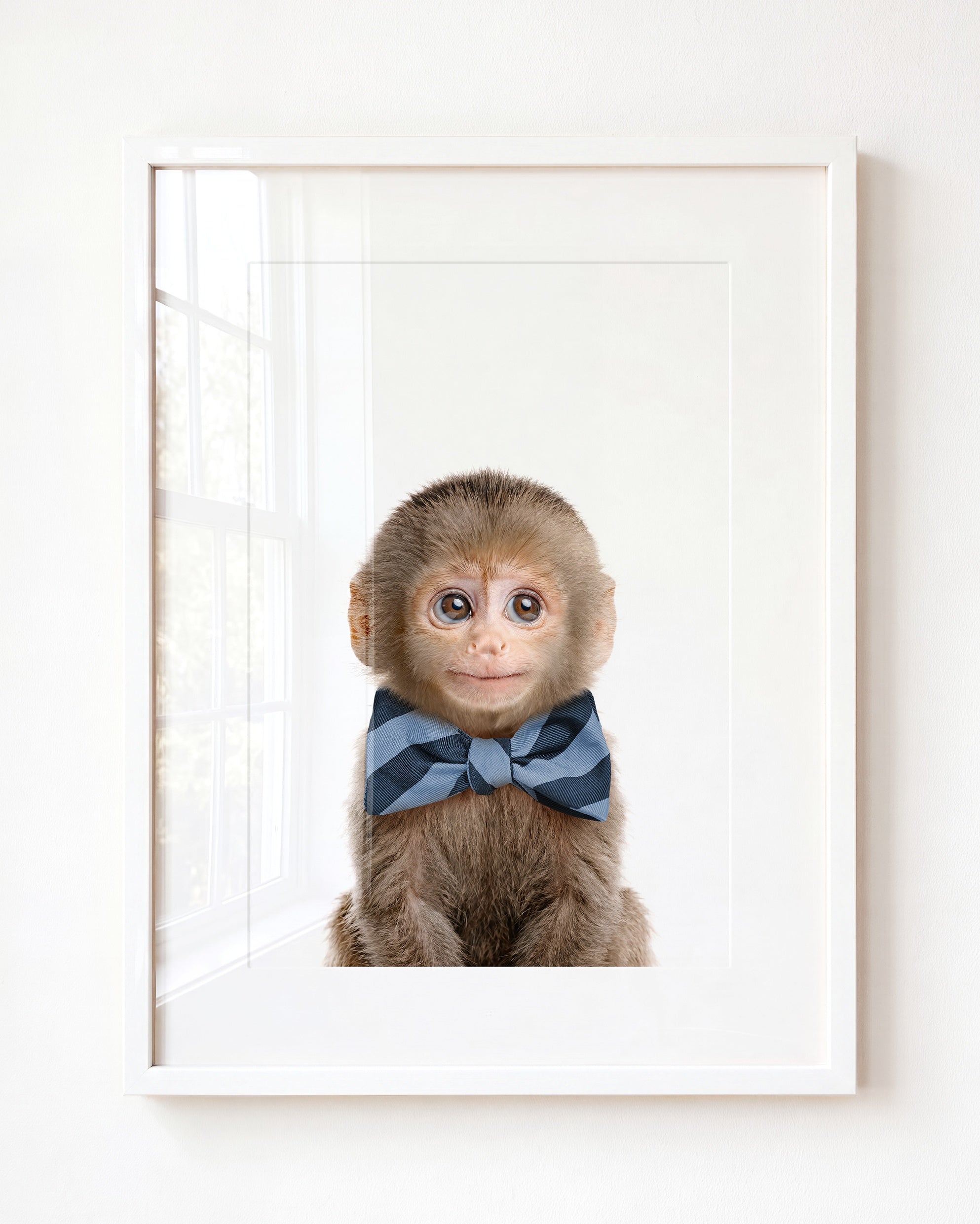 Baby Monkey