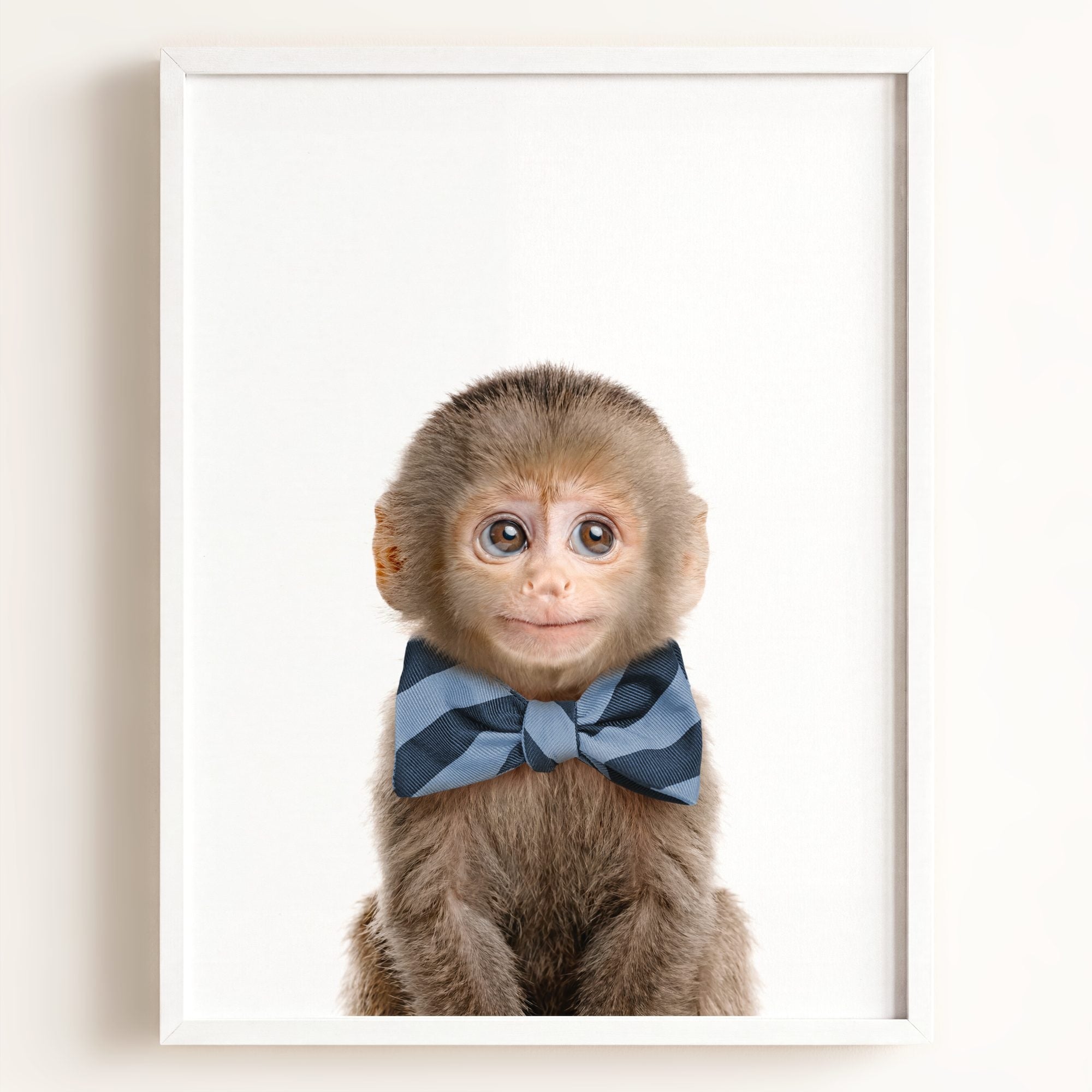 Baby Monkey