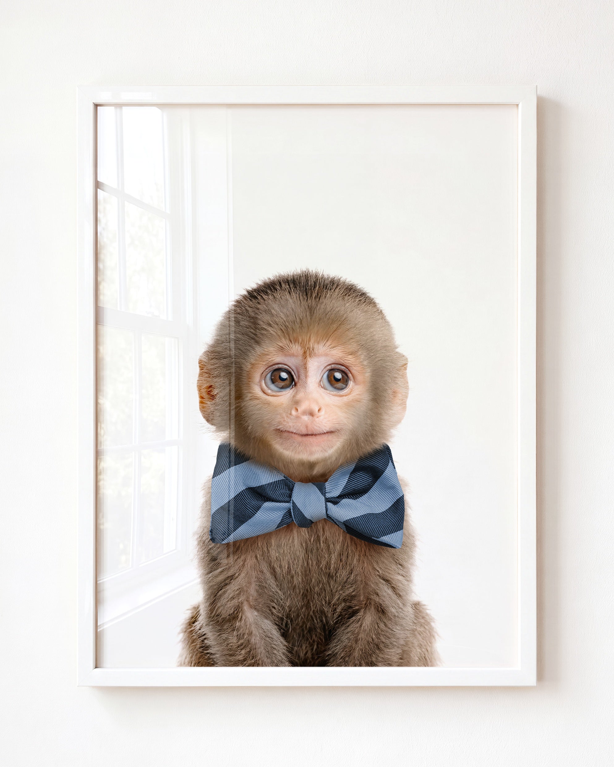 Baby Monkey