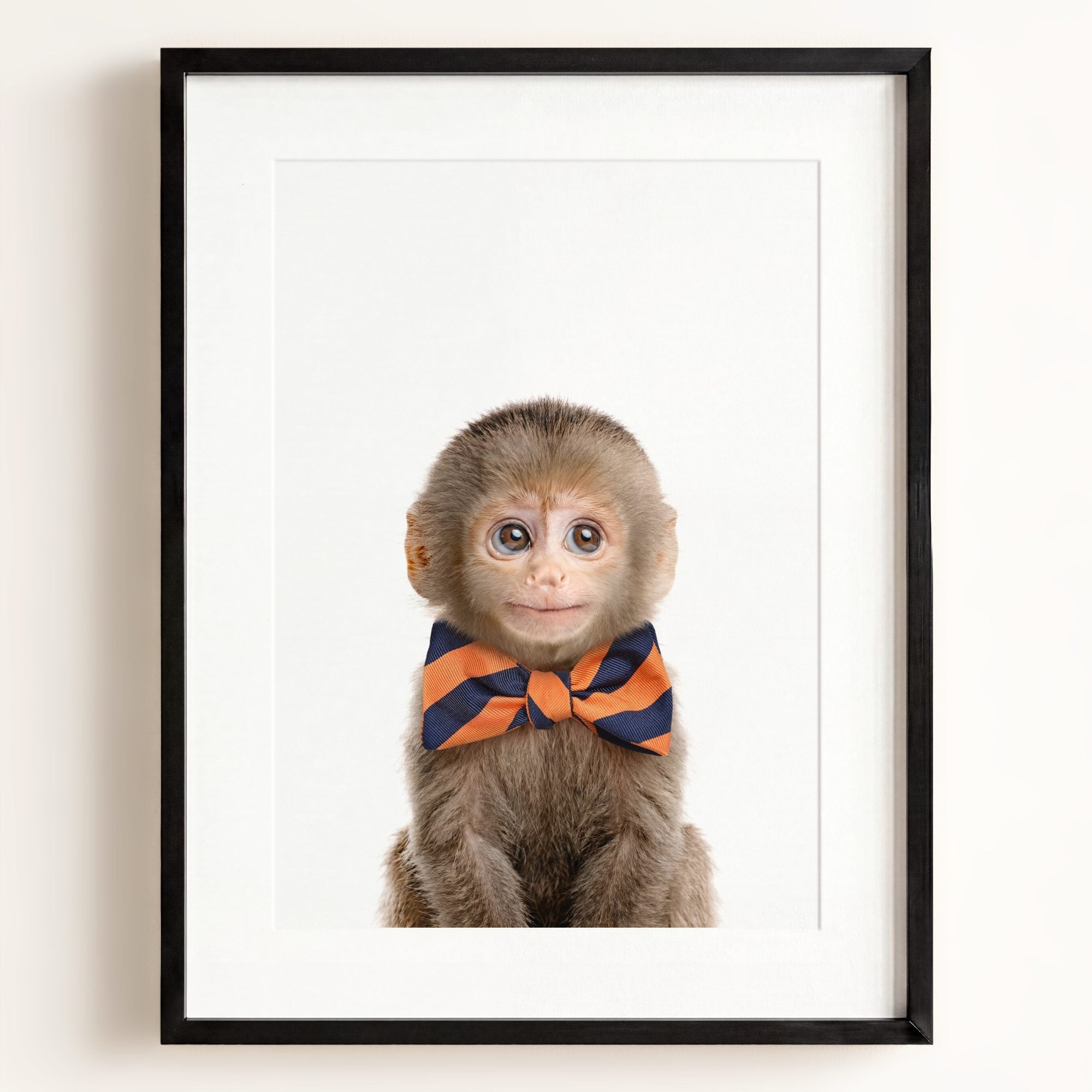 Baby Monkey