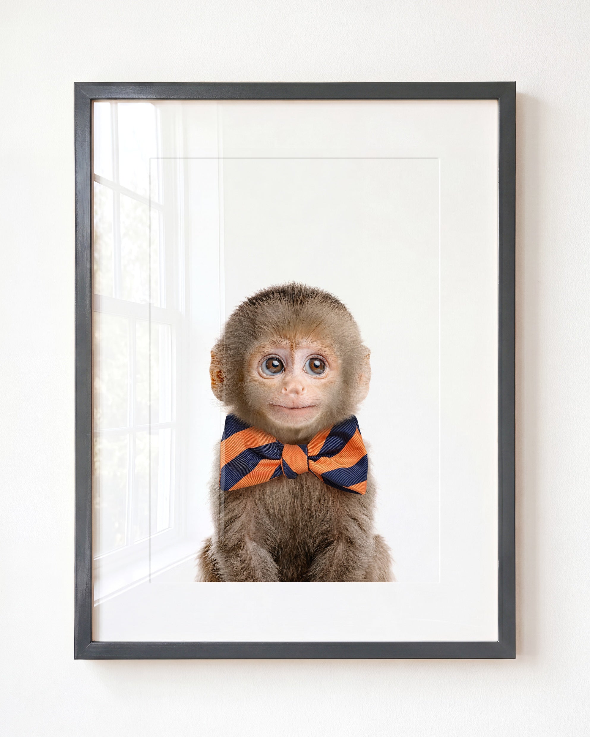 Baby Monkey