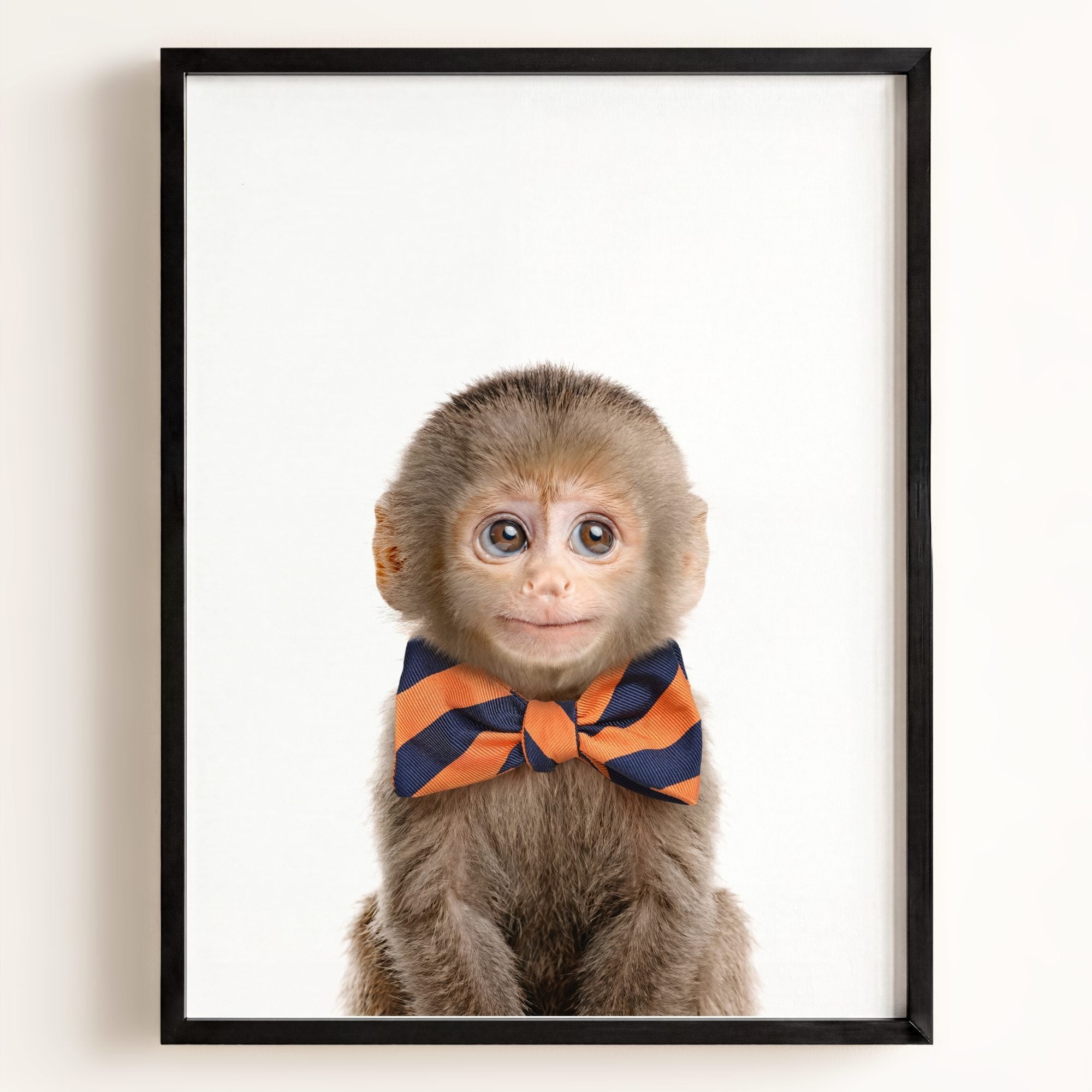 Baby Monkey