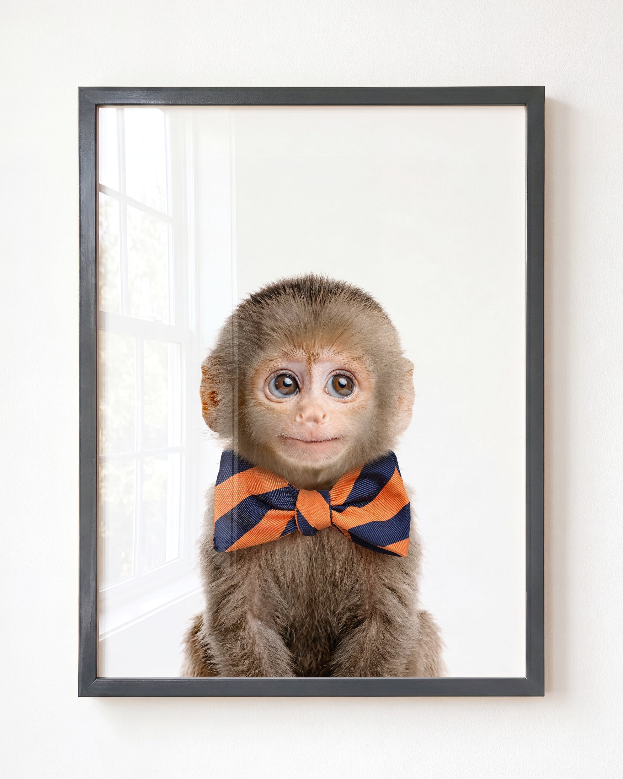 Baby Monkey