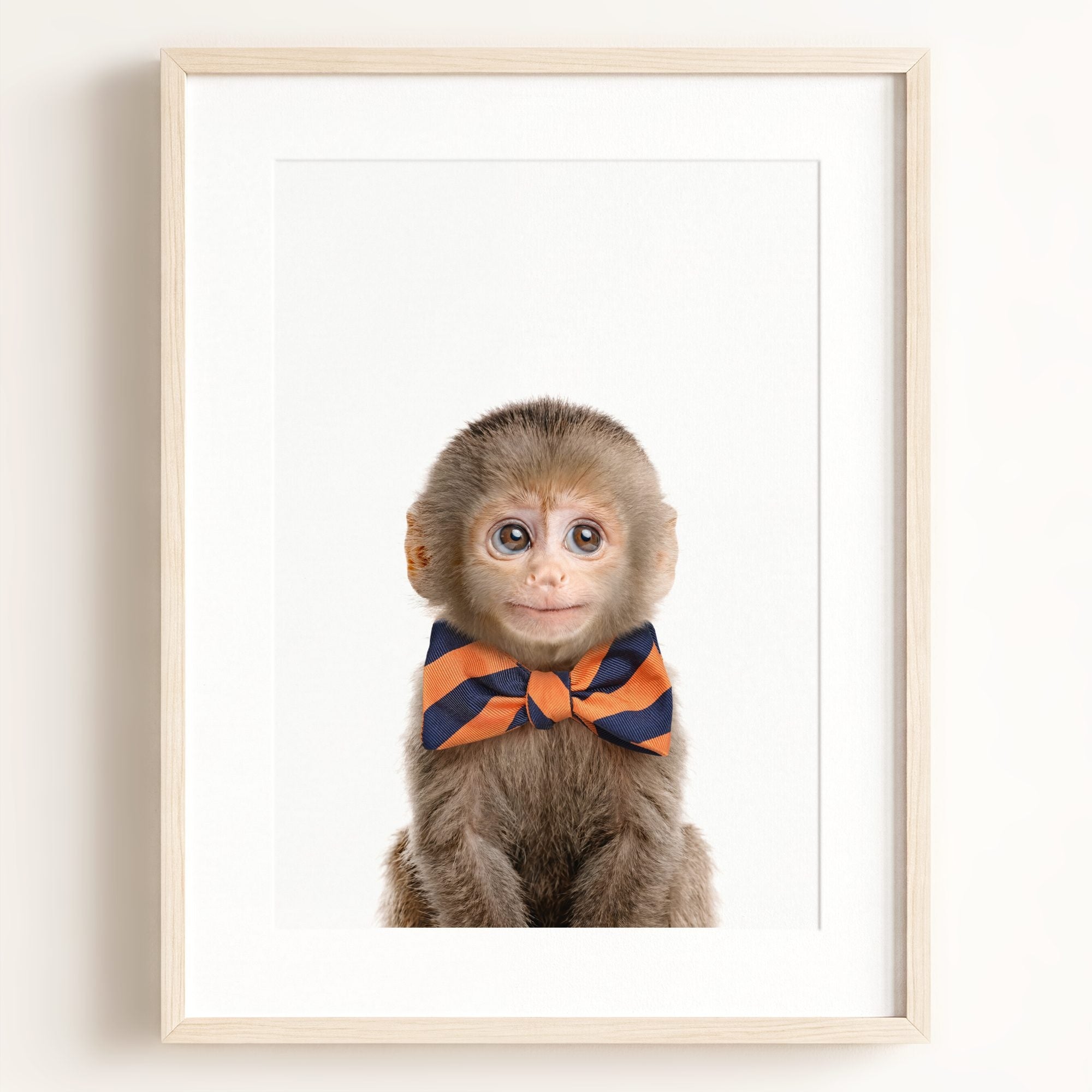 Baby Monkey