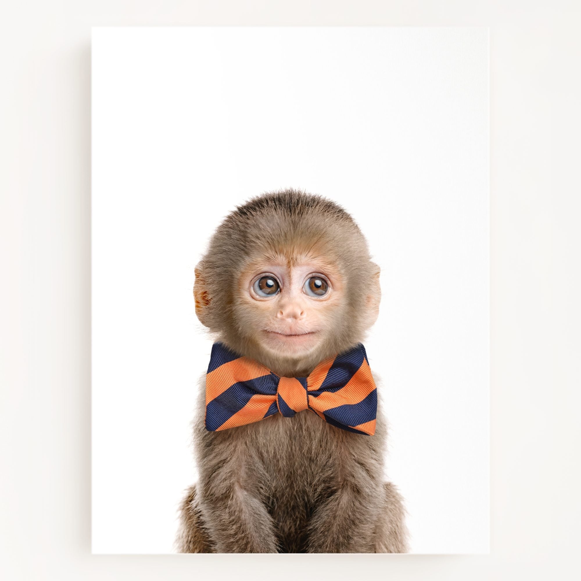 Baby Monkey