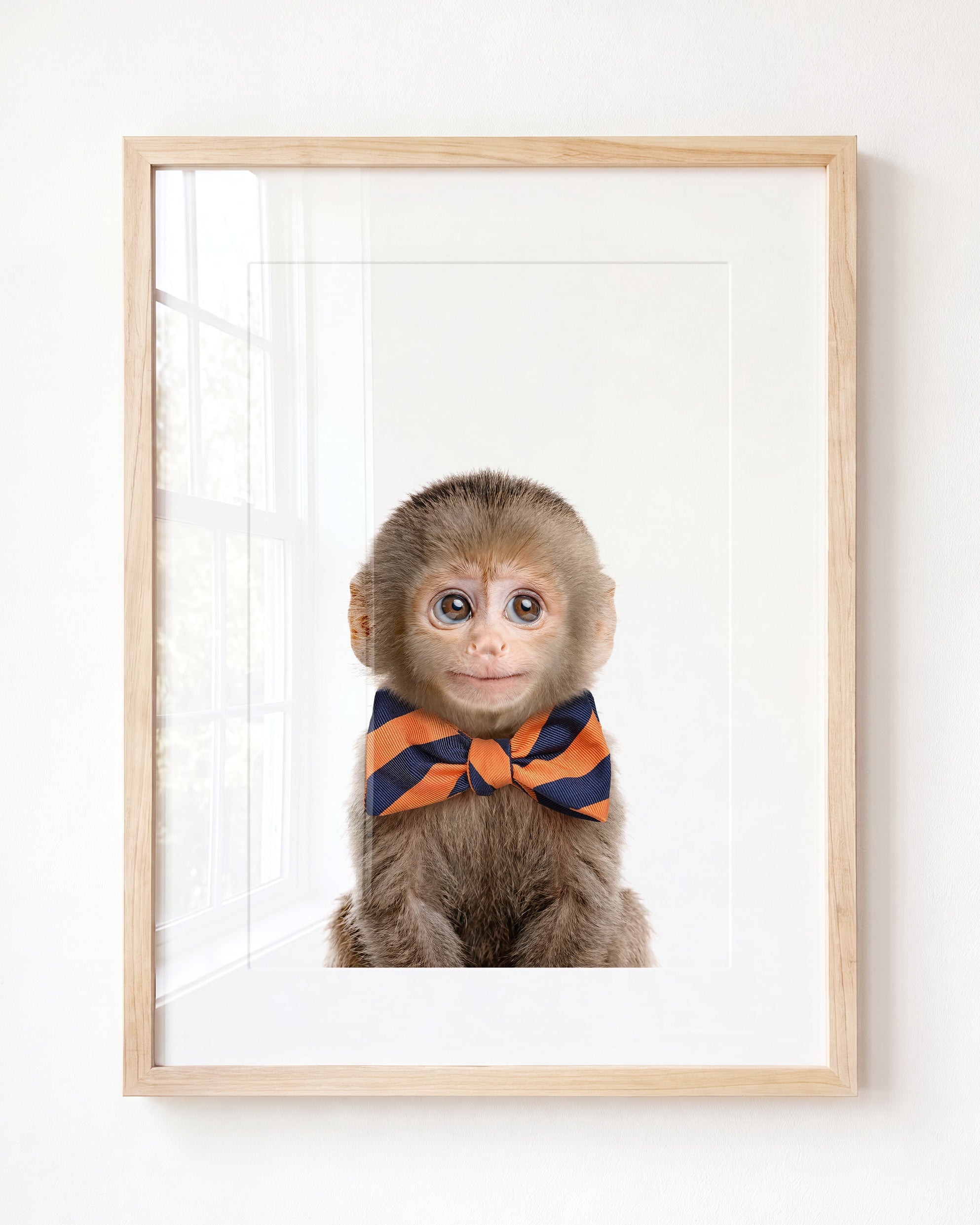 Baby Monkey