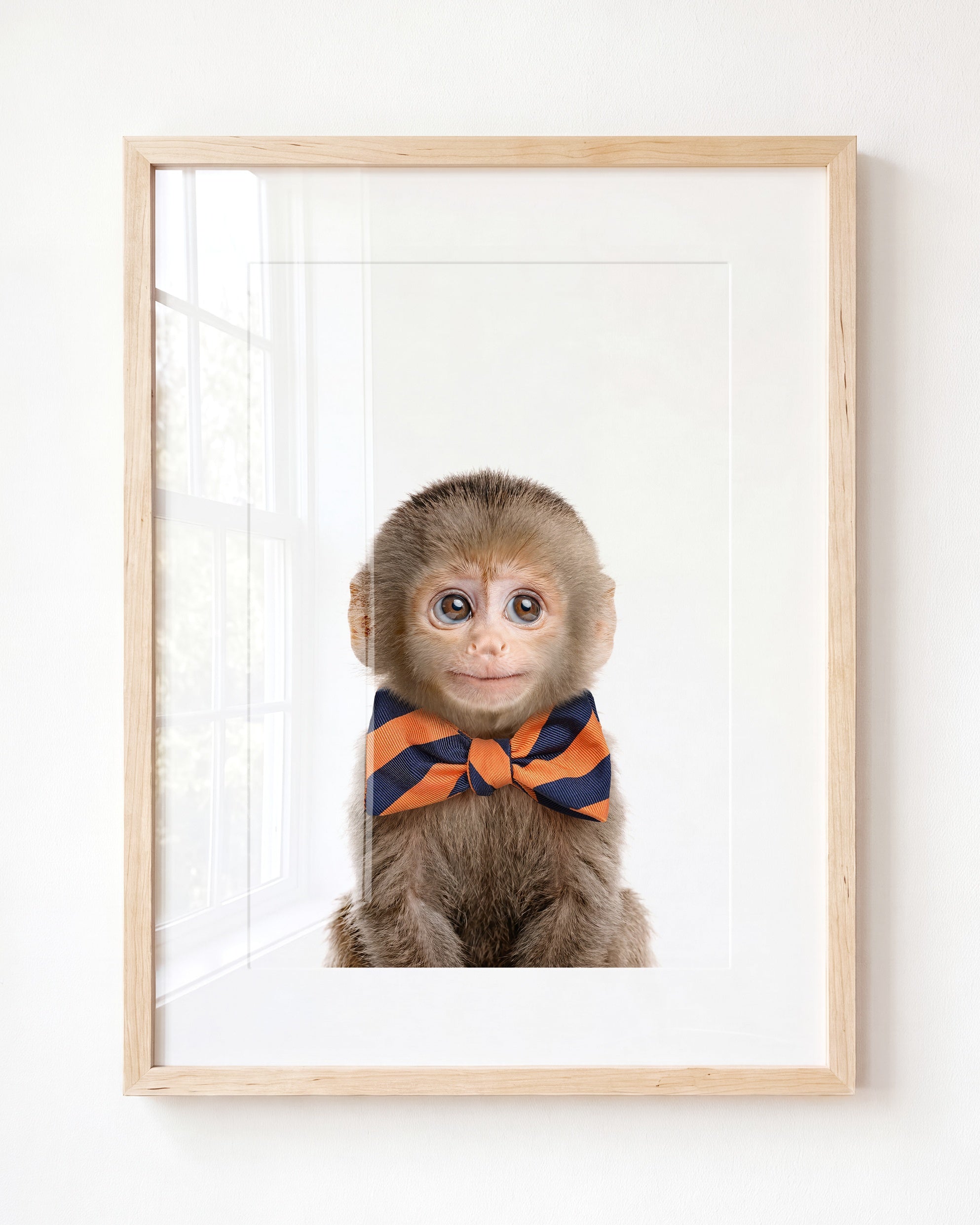 Baby Monkey