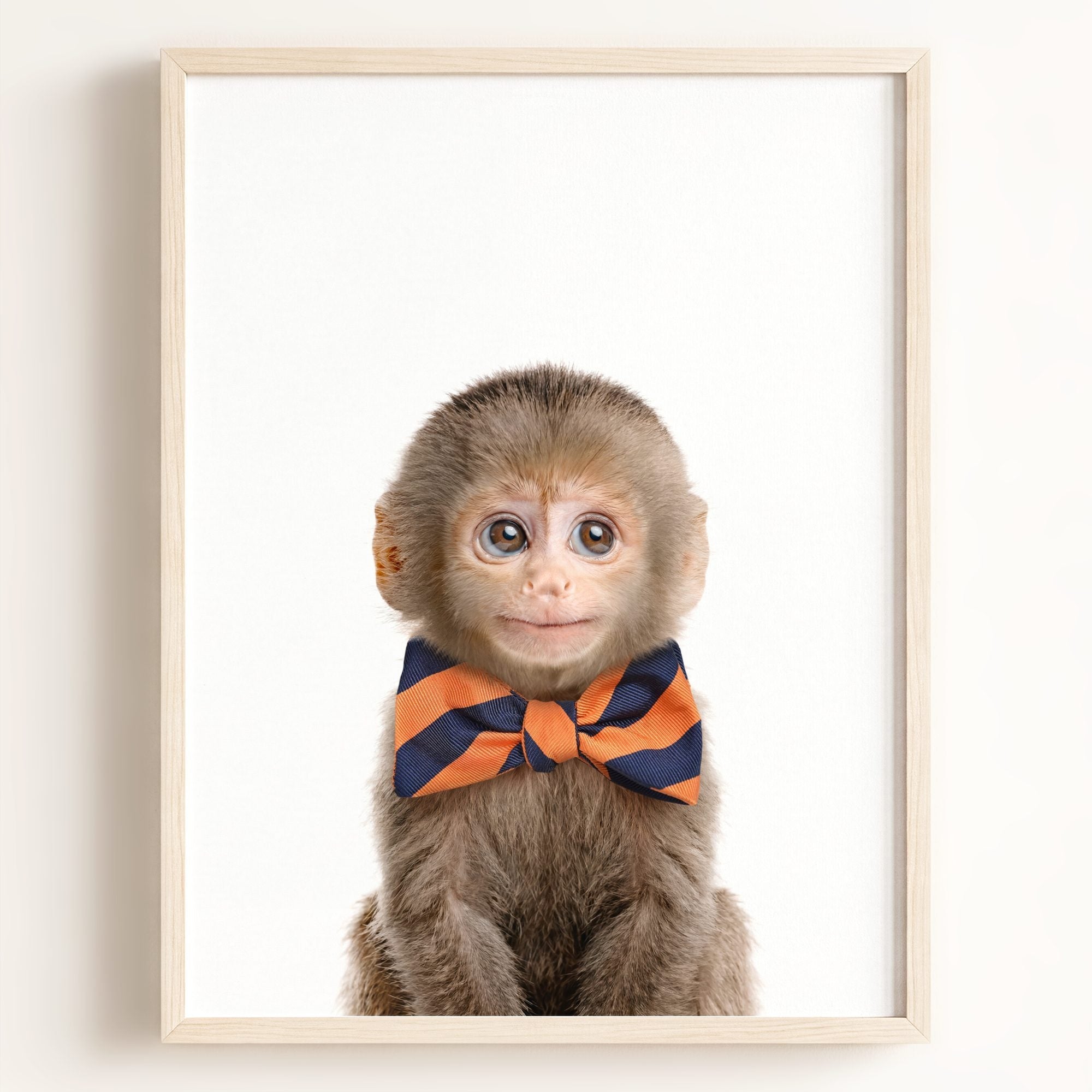 Baby Monkey