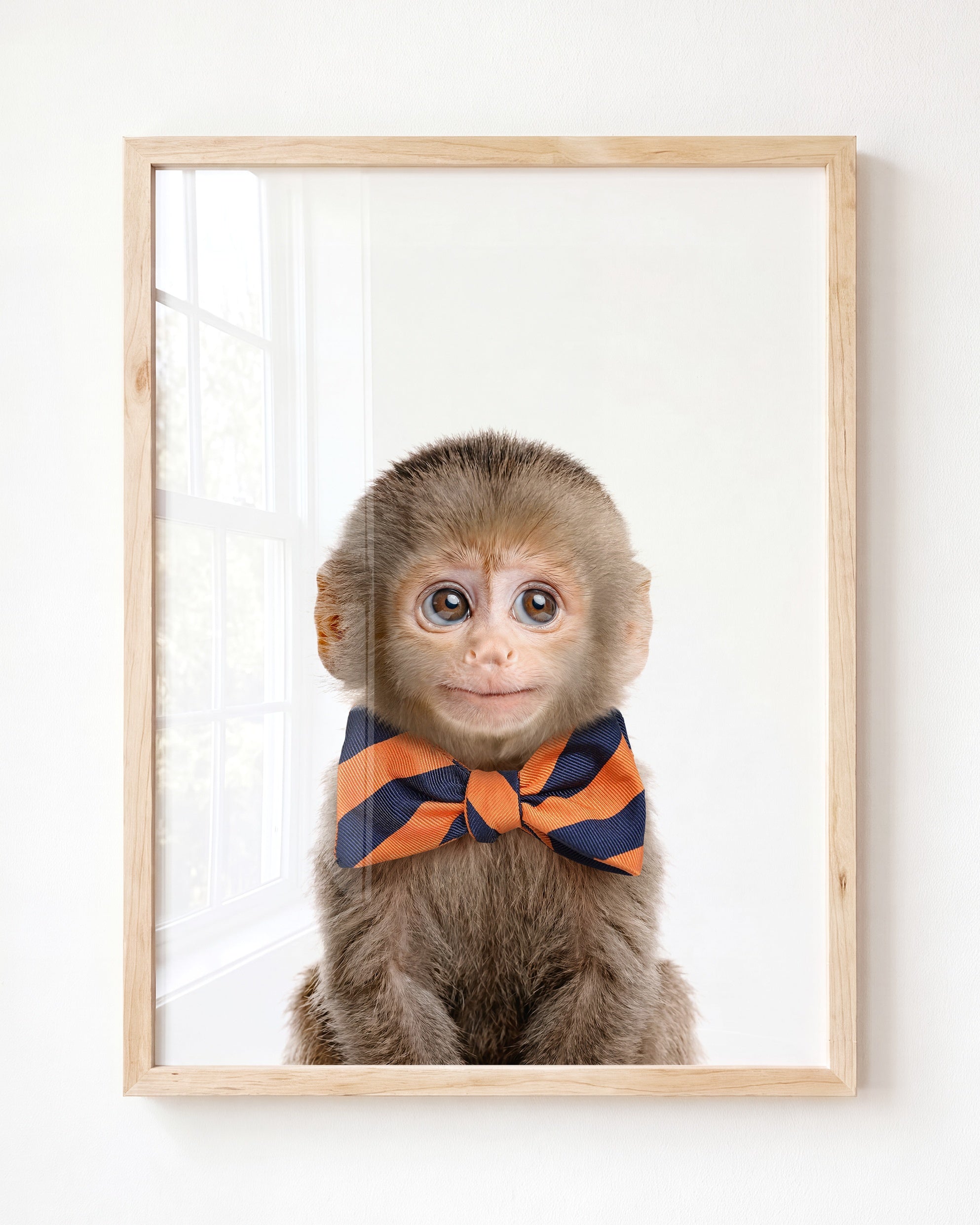Baby Monkey