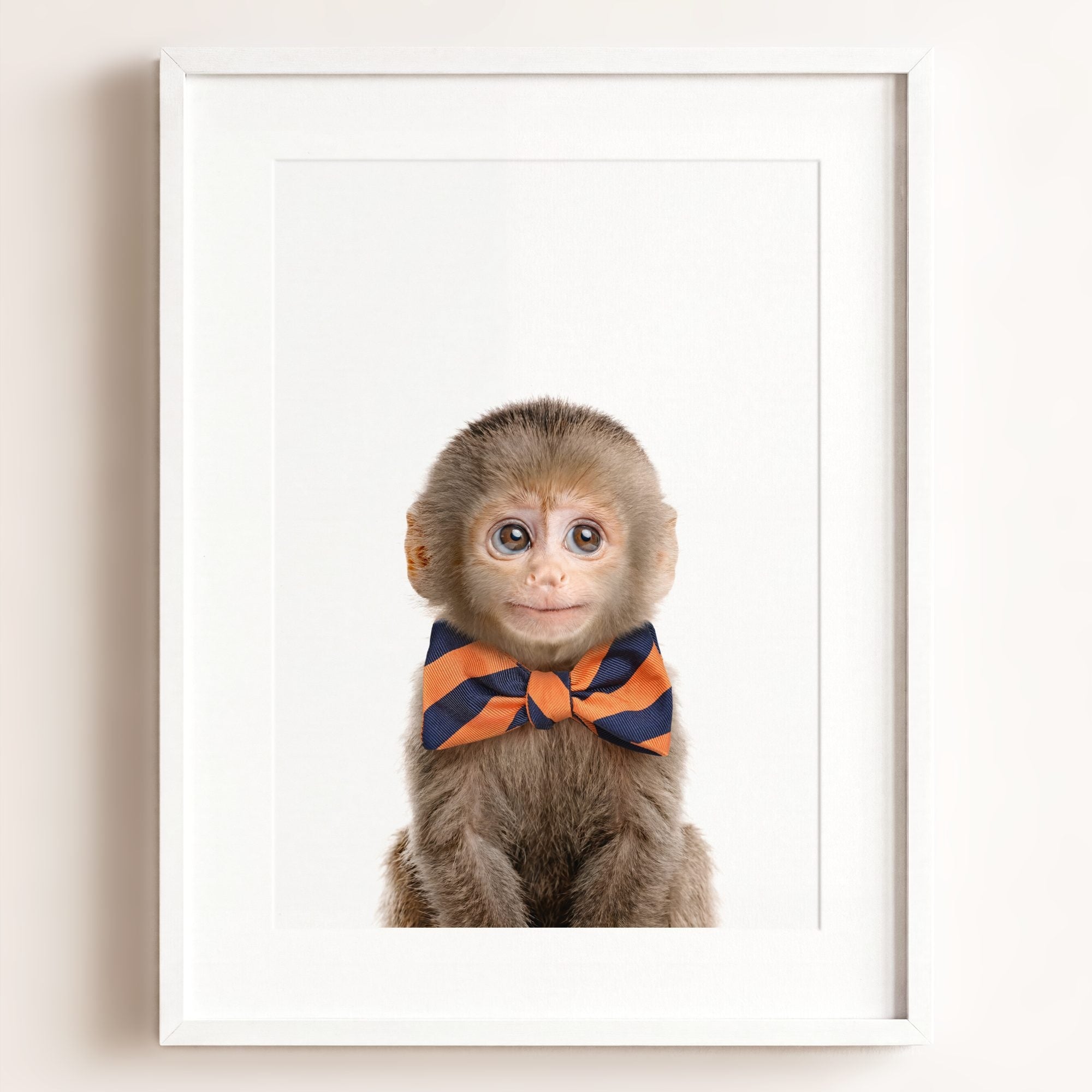 Baby Monkey