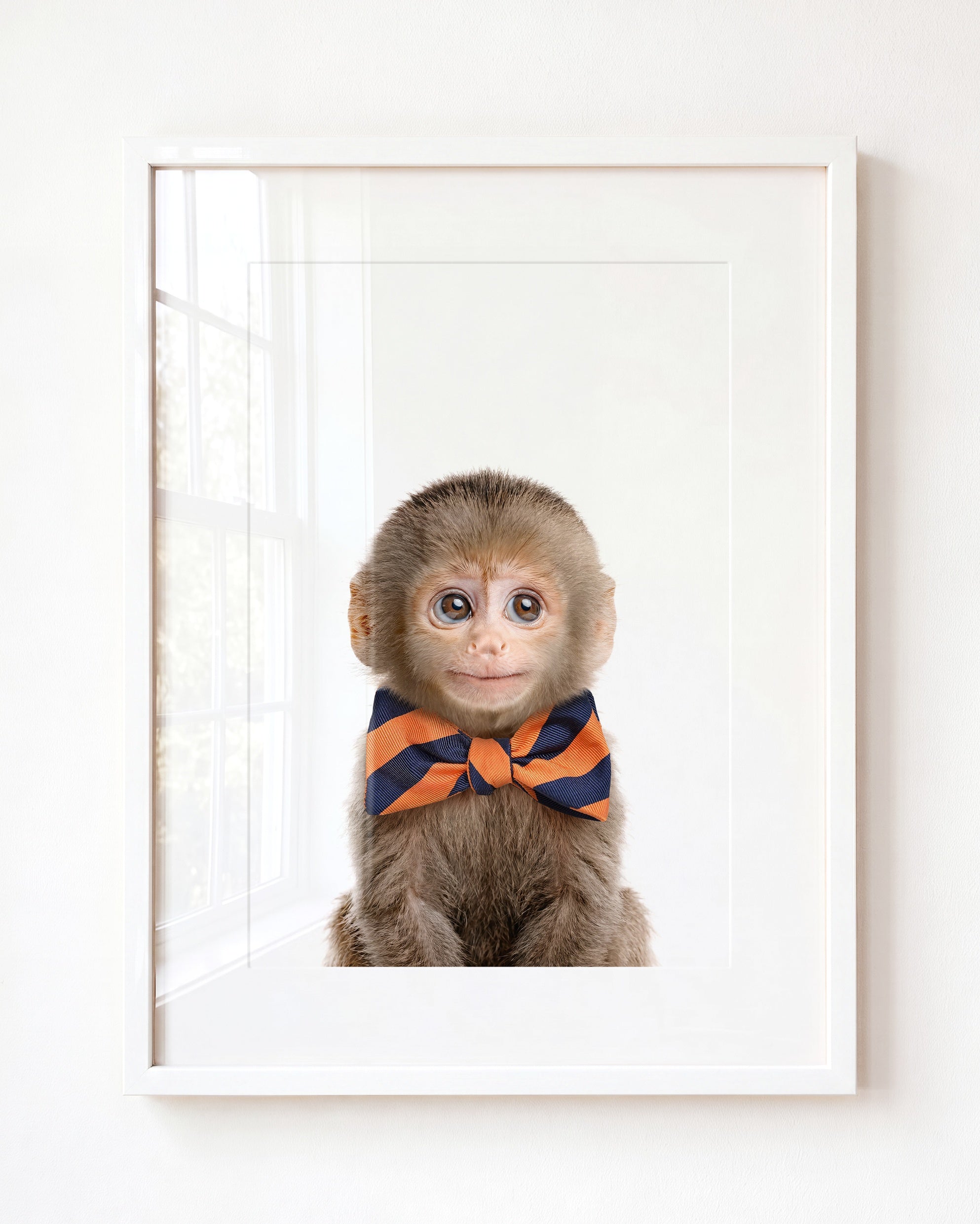 Baby Monkey