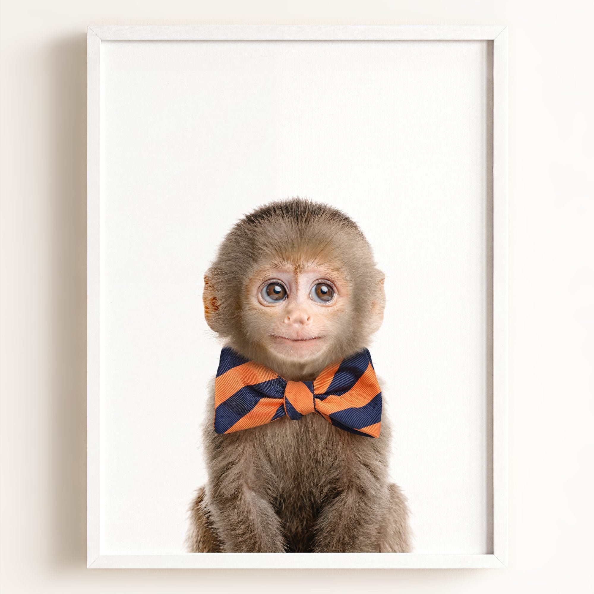 Baby Monkey