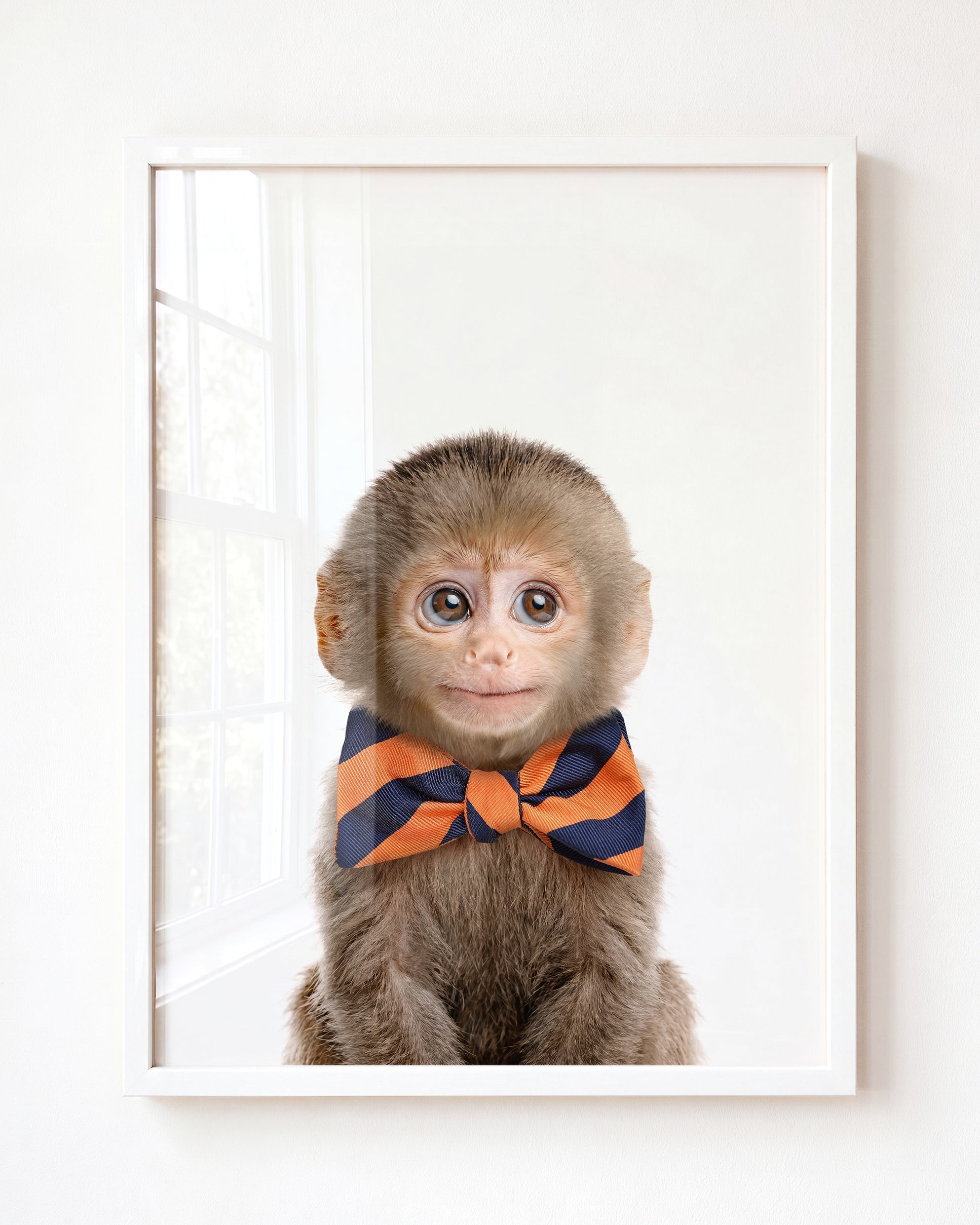 Baby Monkey