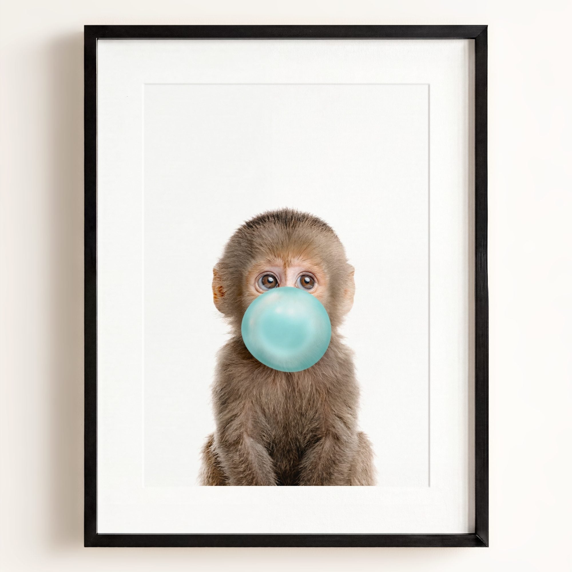 Baby Monkey