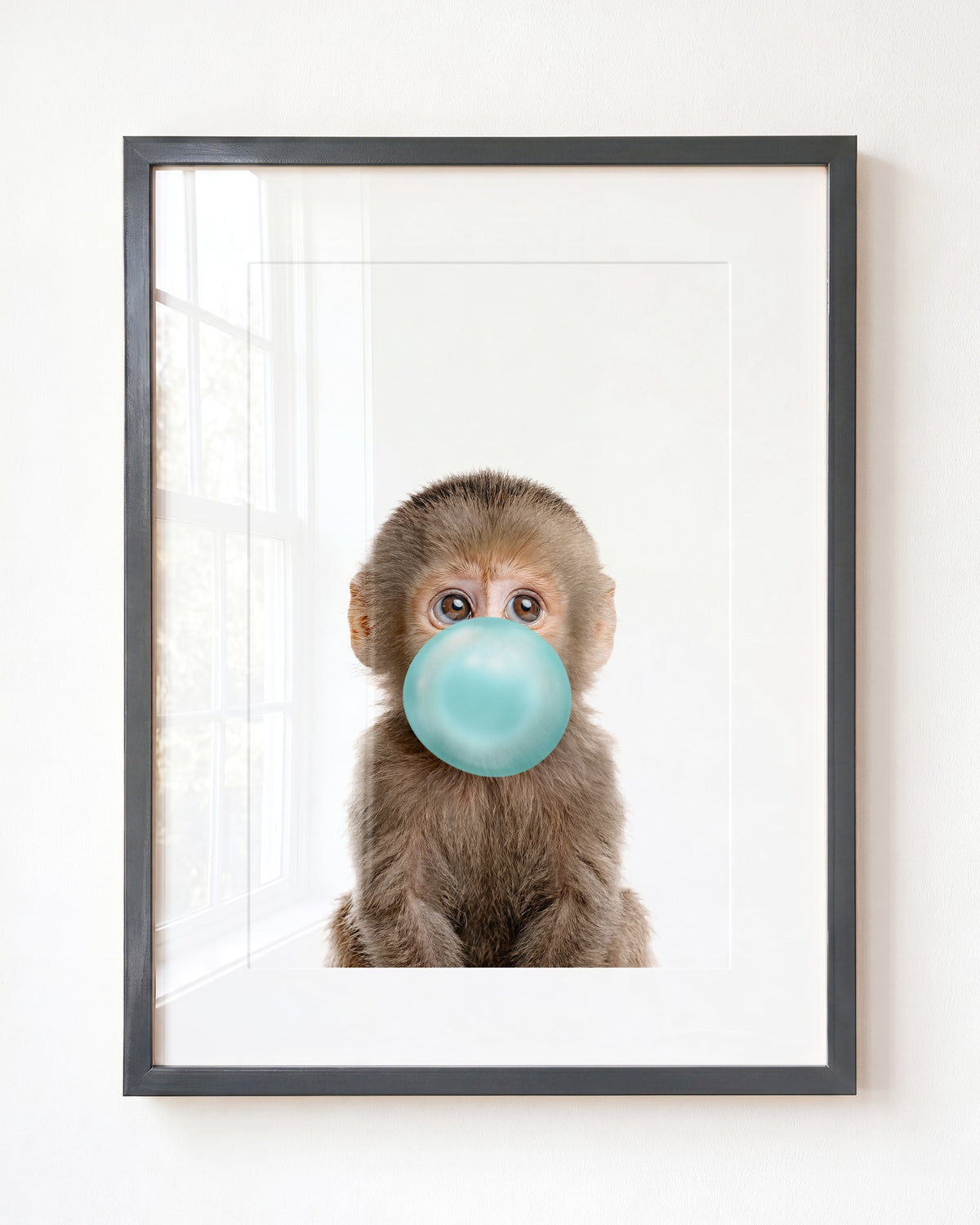 Baby Monkey