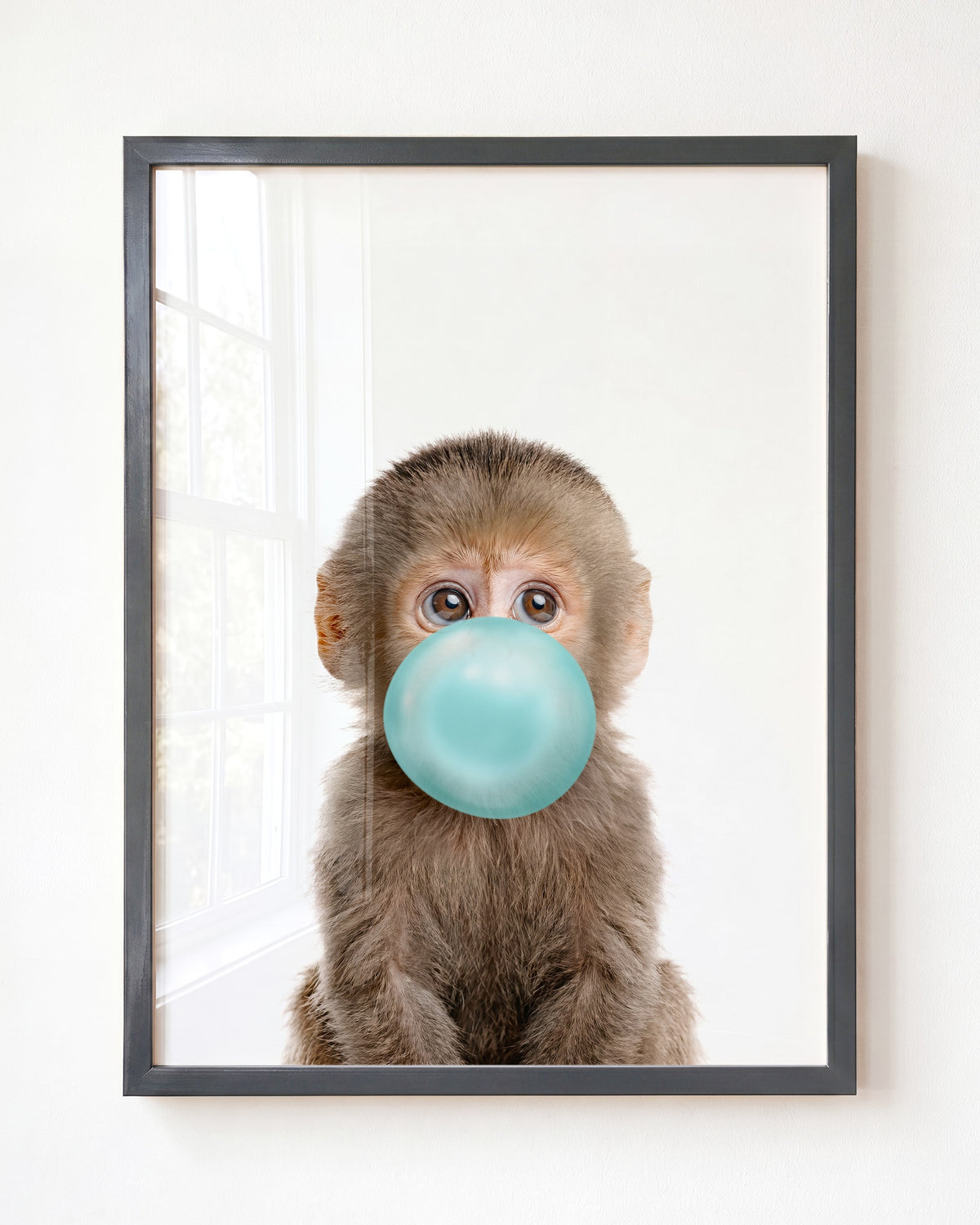 Baby Monkey