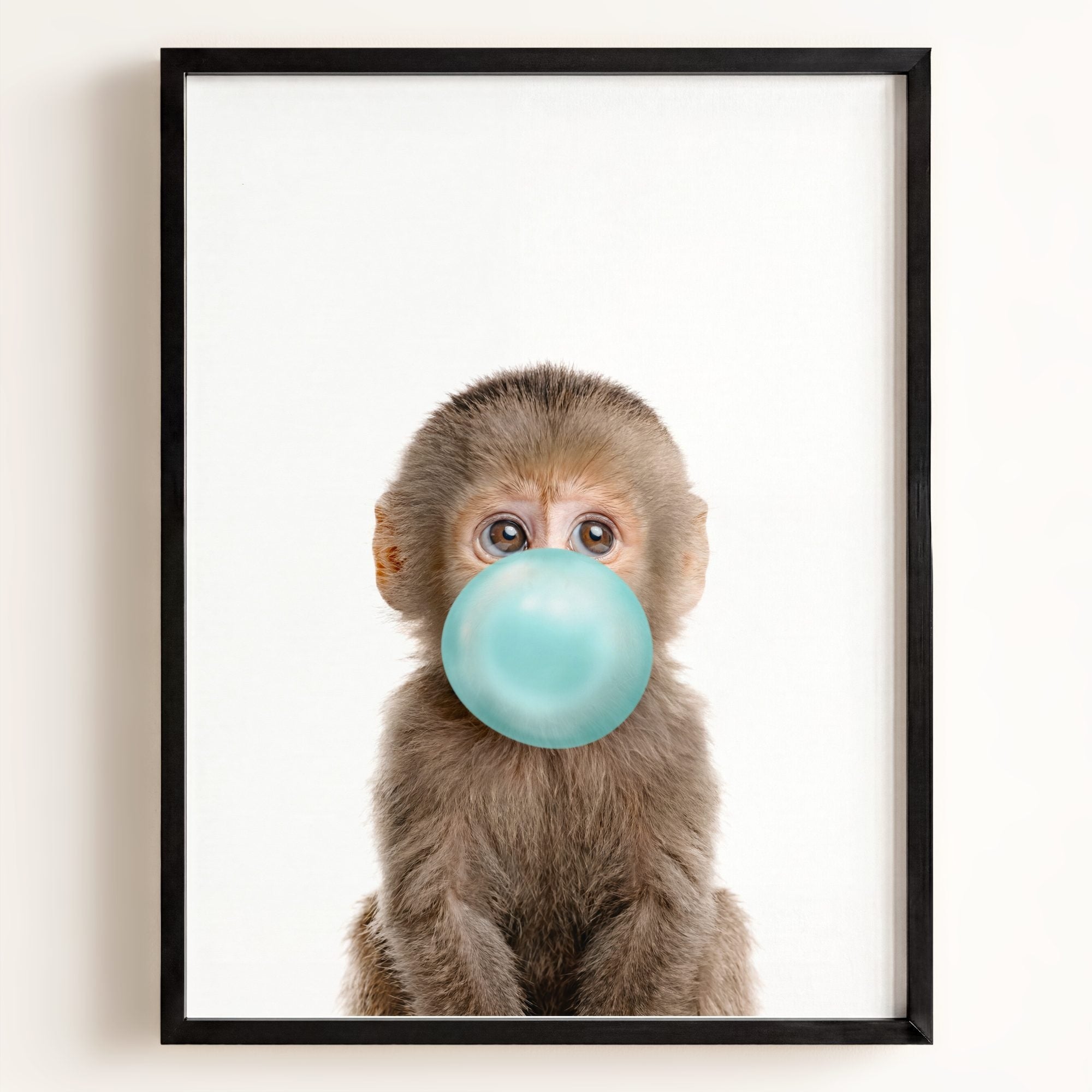 Baby Monkey