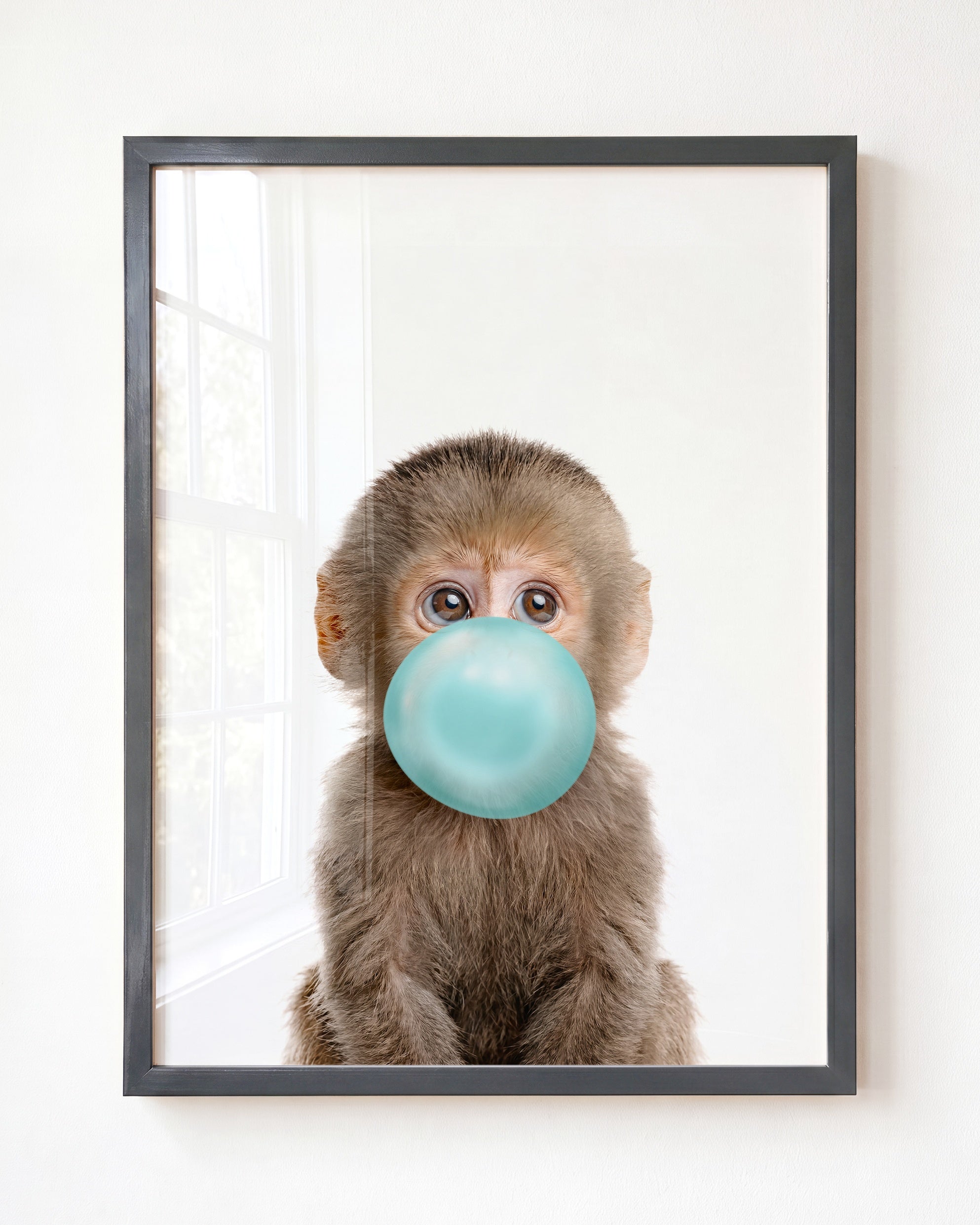 Baby Monkey