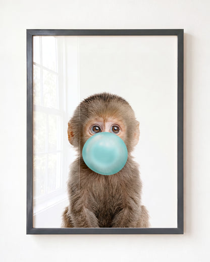 Baby Monkey