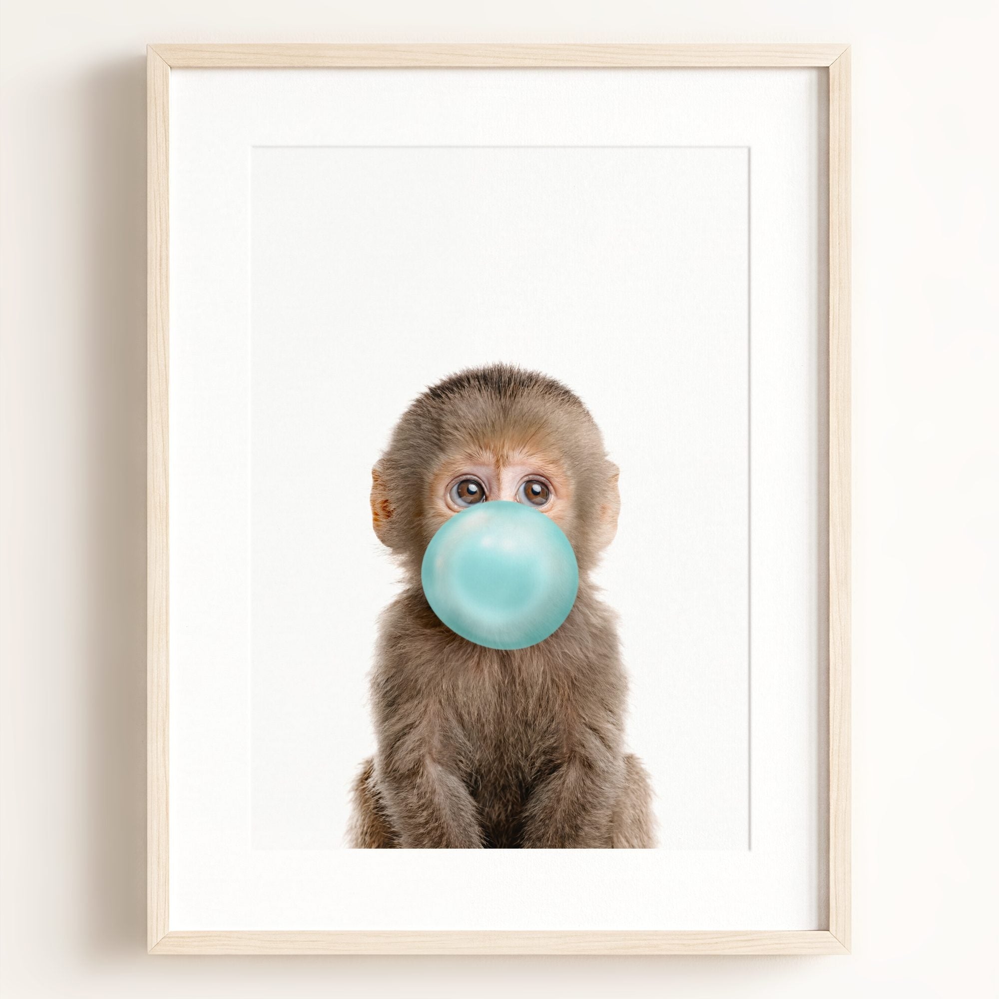 Baby Monkey