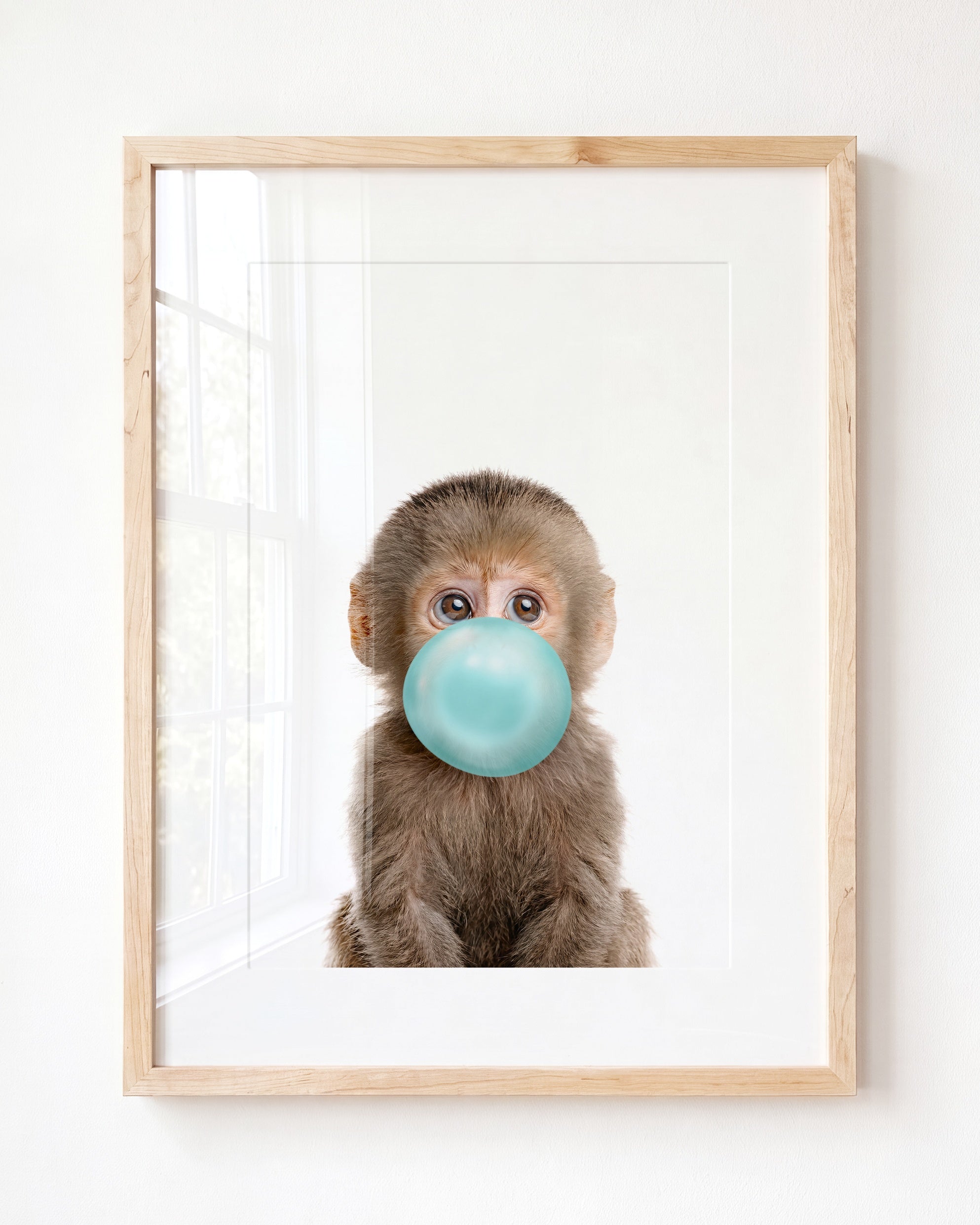 Baby Monkey