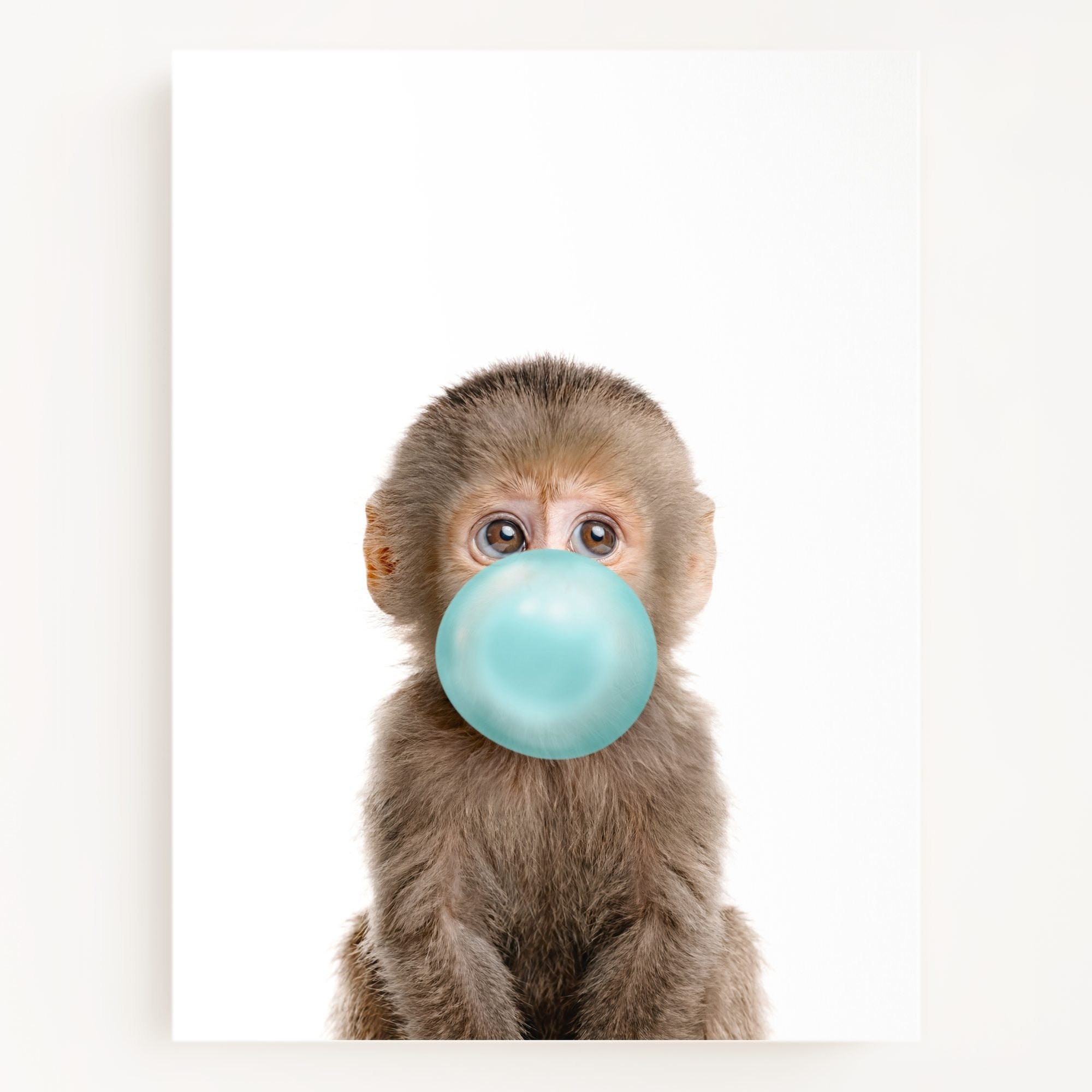 Baby Monkey