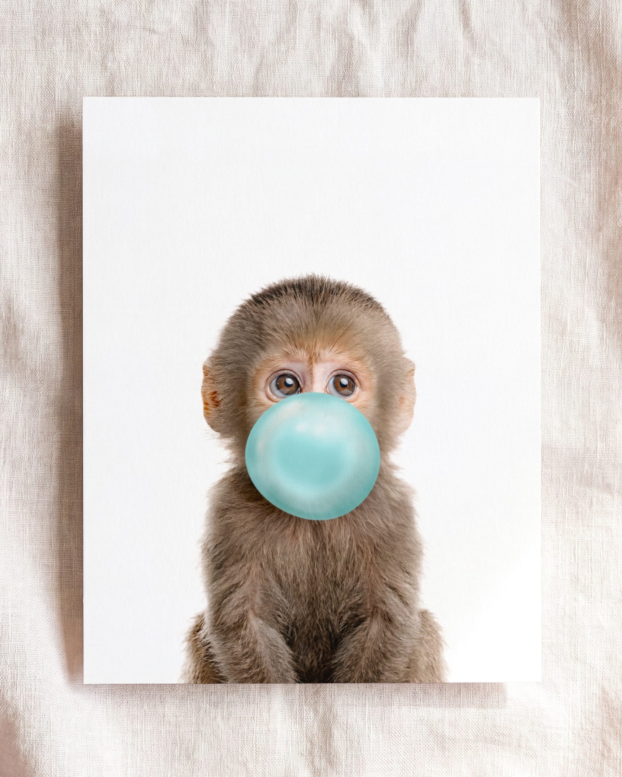 Baby Monkey