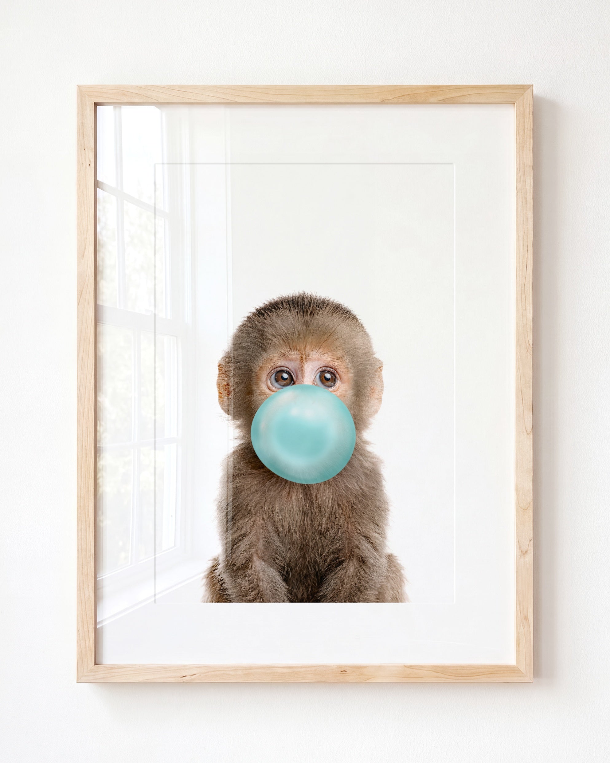 Baby Monkey