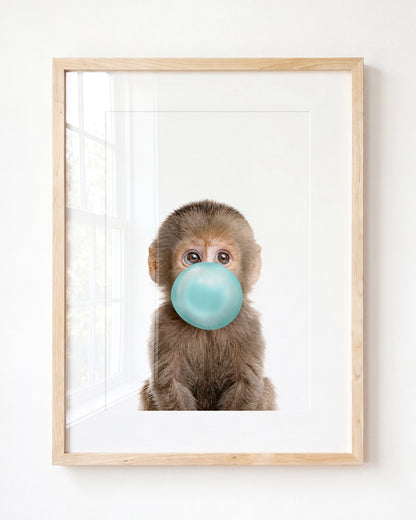 Baby Monkey