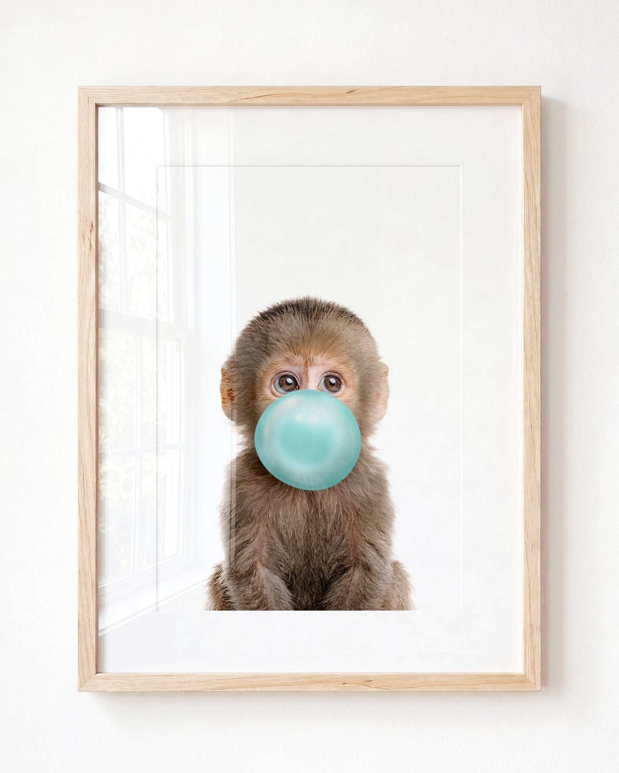 Baby Monkey