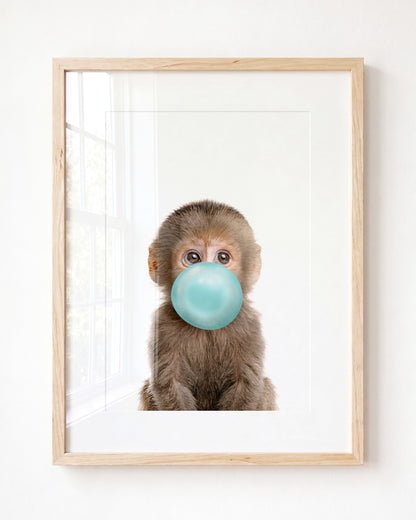 Baby Monkey
