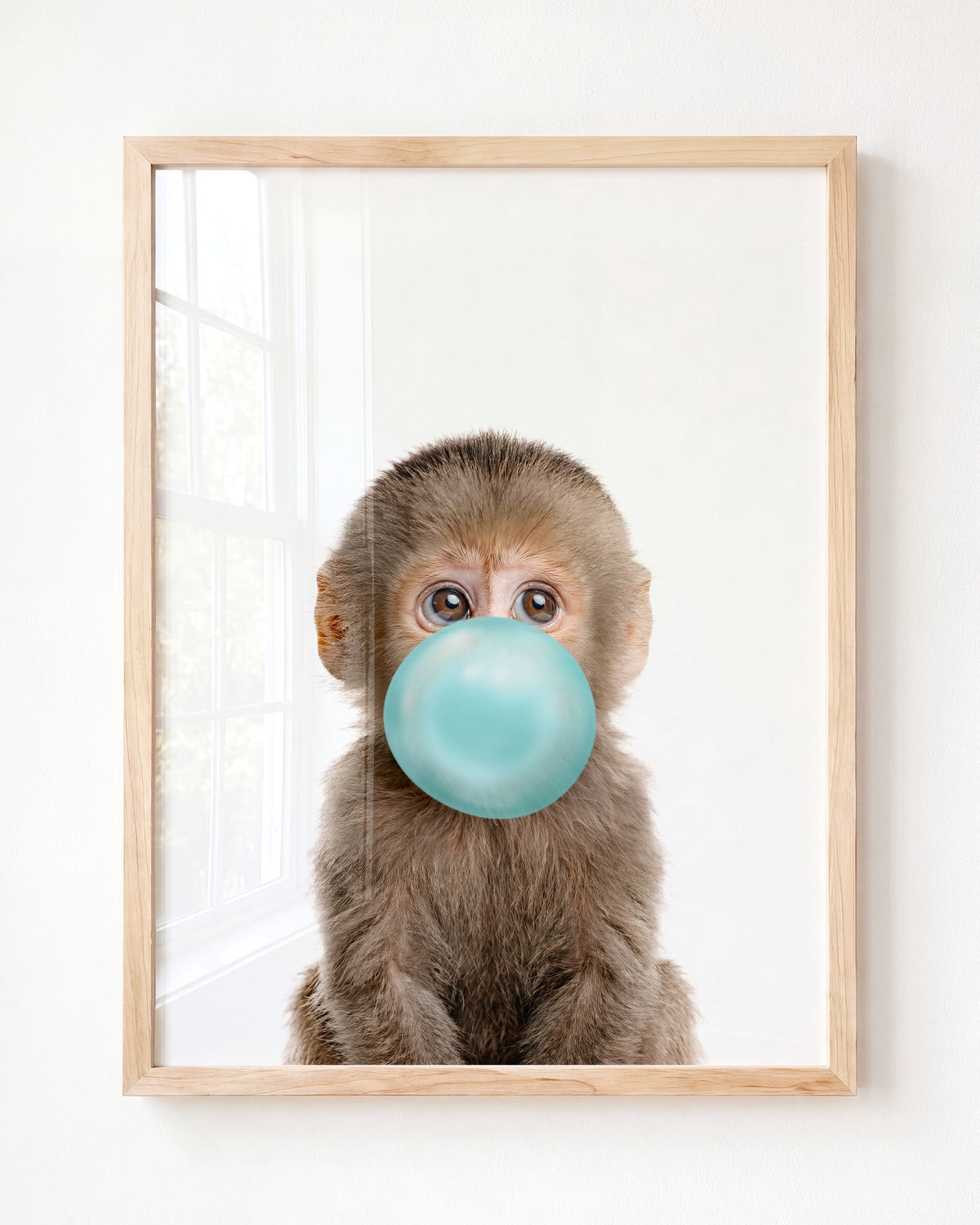 Baby Monkey