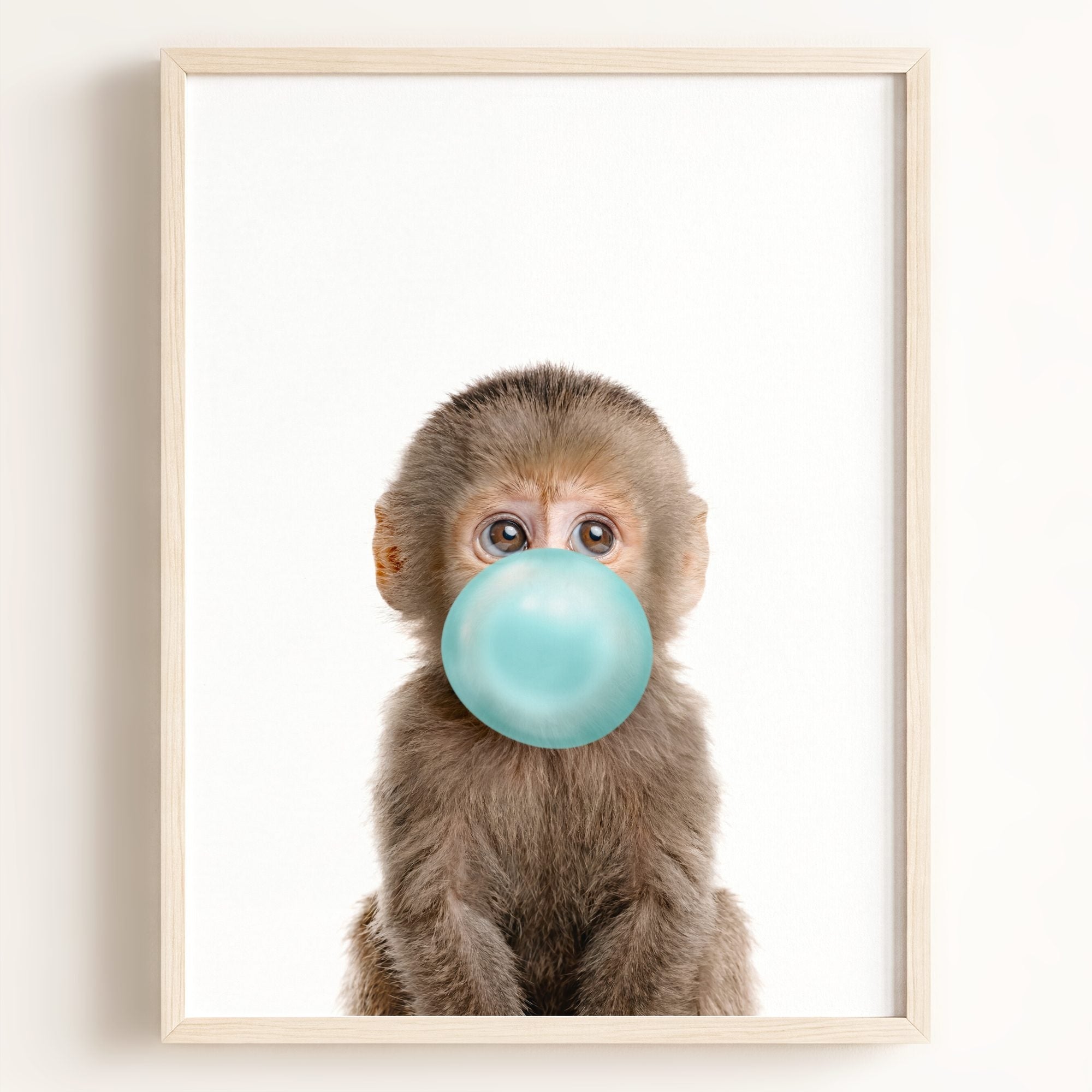 Baby Monkey