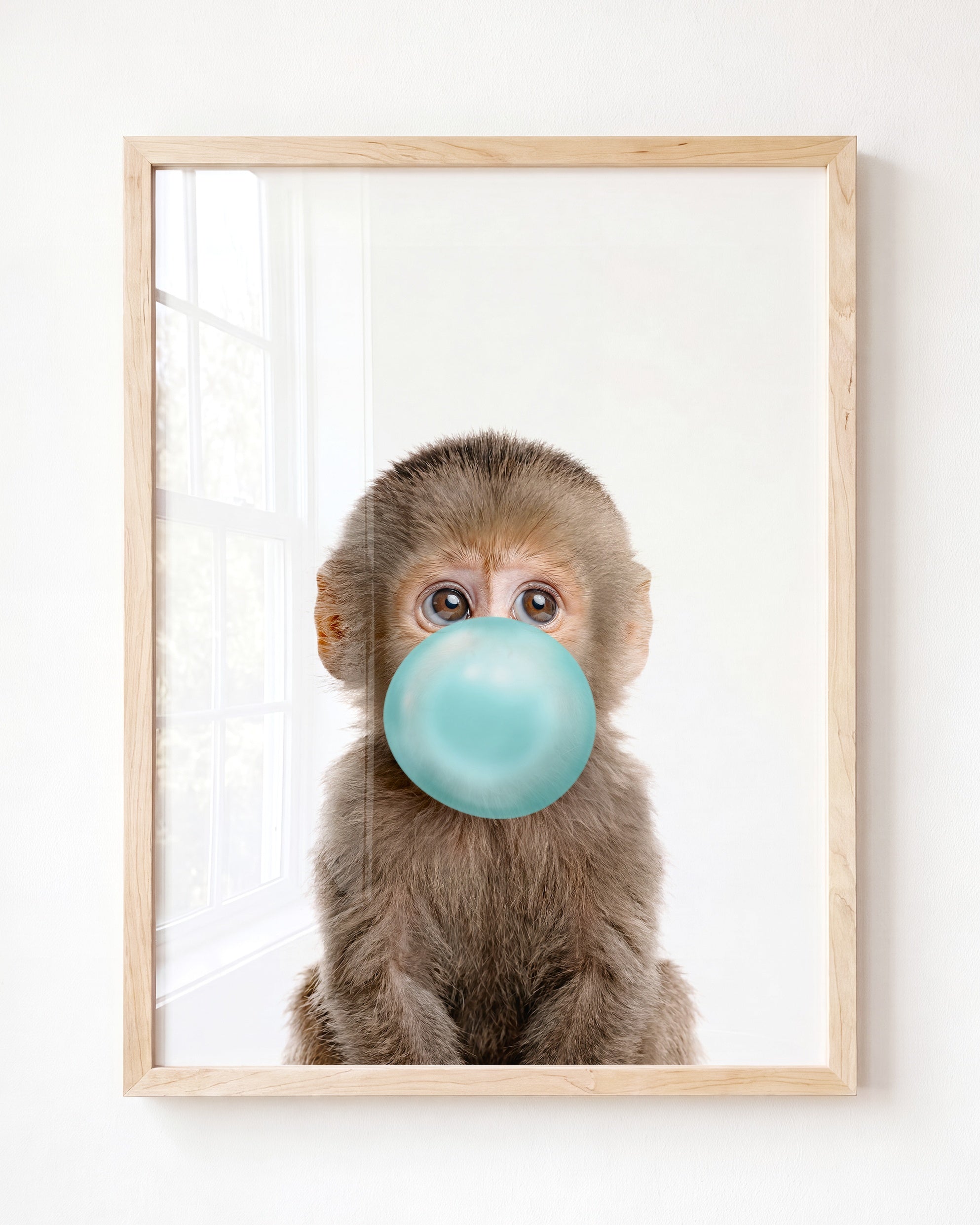 Baby Monkey