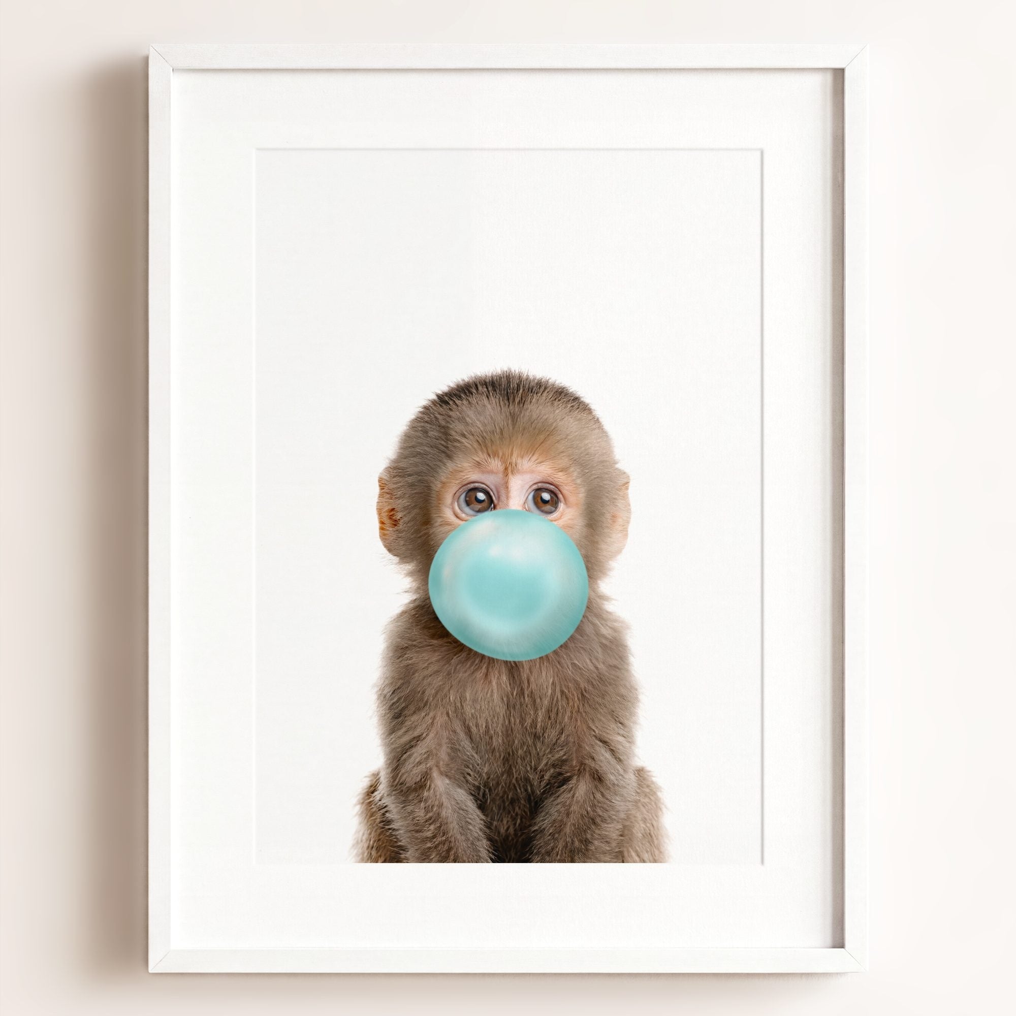 Baby Monkey