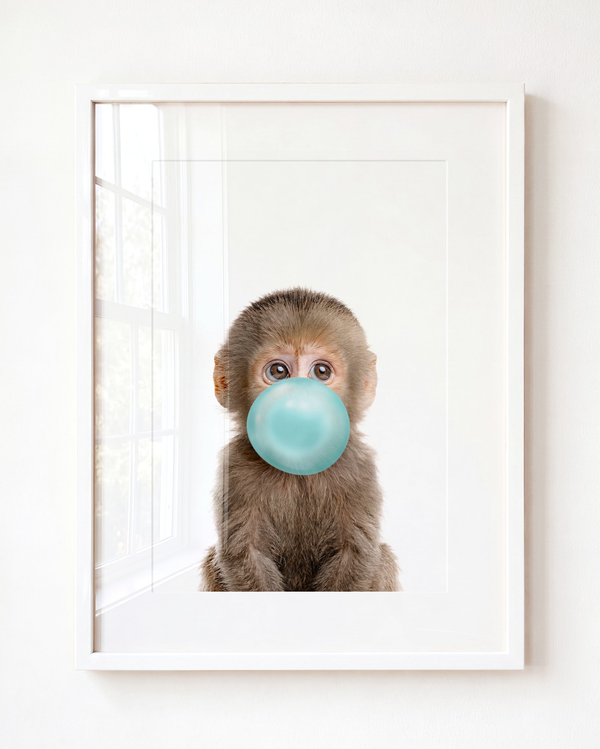 Baby Monkey